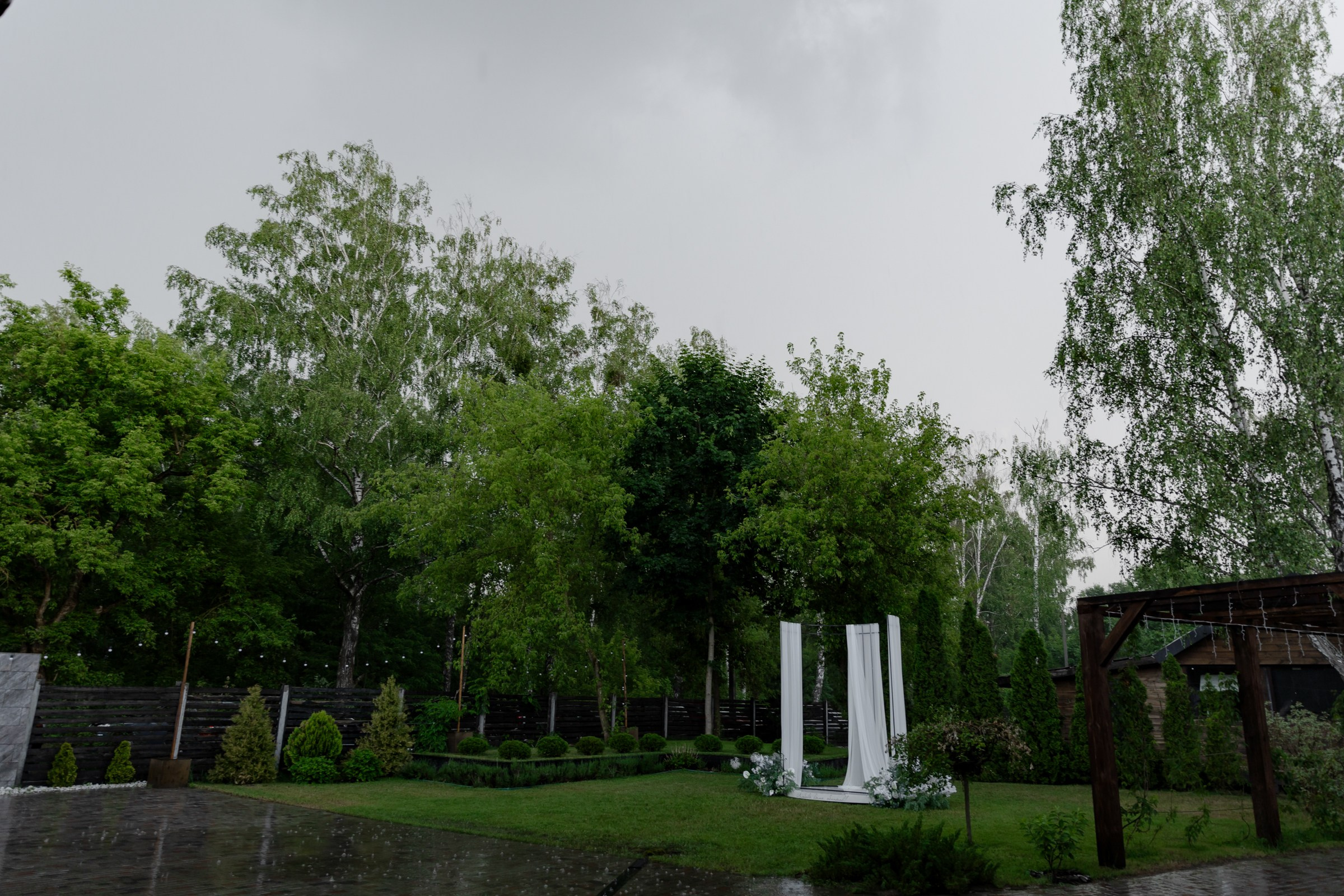 Свадьба пес и котики. Dima Lemeshevsky