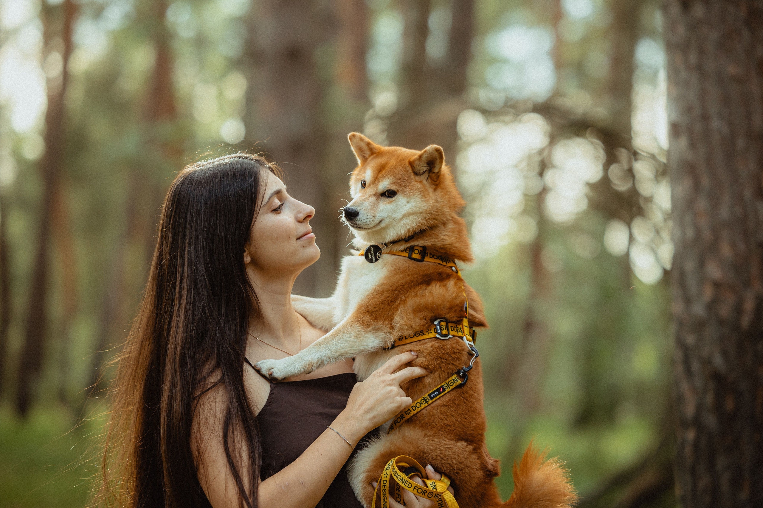 Выездной дог-тренинг от школы «Шерсть имею»
