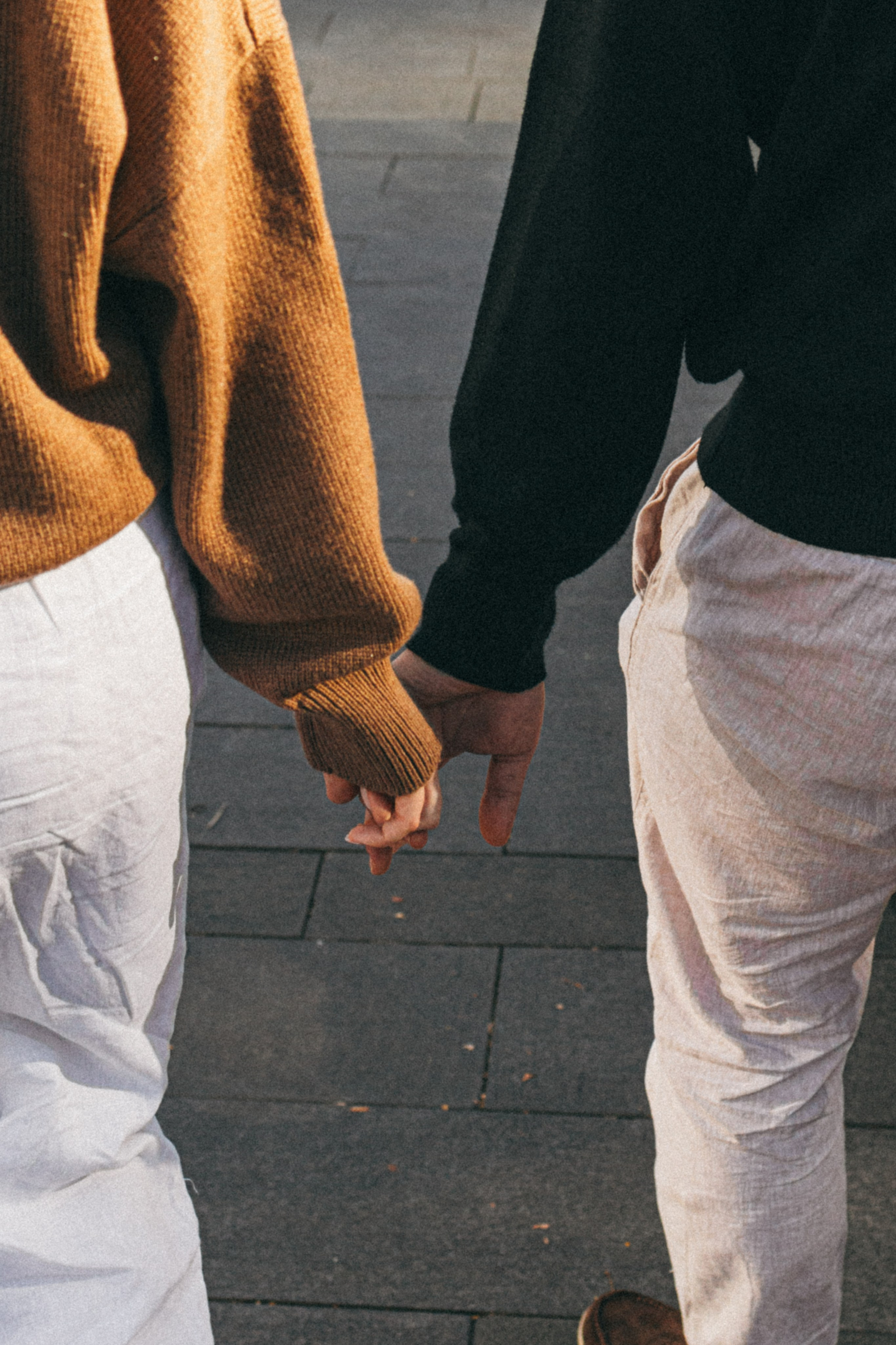 Даша, Рома и Лесли. Фотораф — анималист Мария Шистка