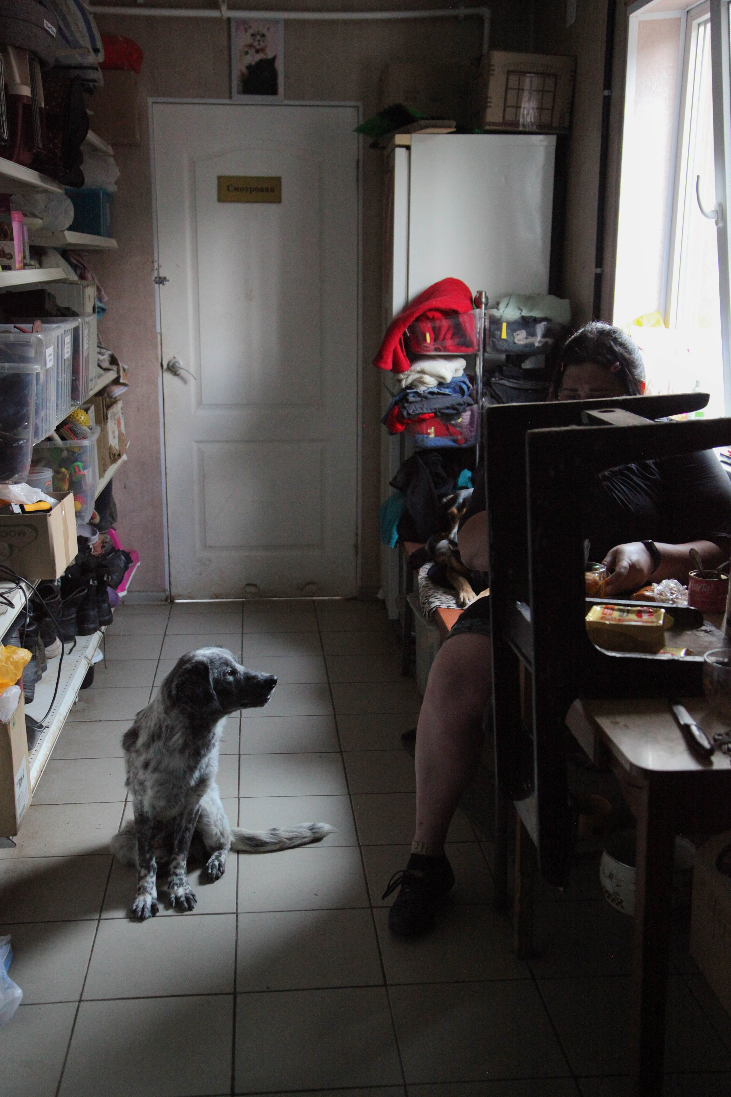 Доброе сердце. Полина Трель