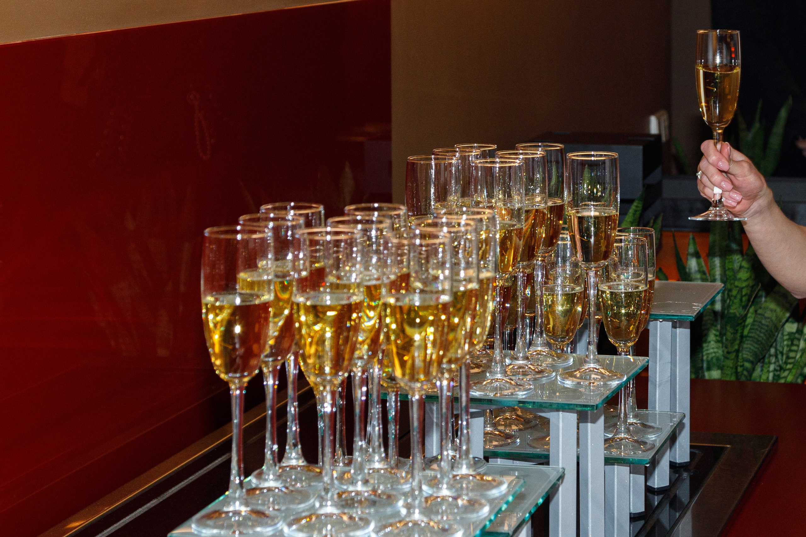 ФИНАЛ КОНКУРСА «VETONIT». Фотограф Павел Подшивалов