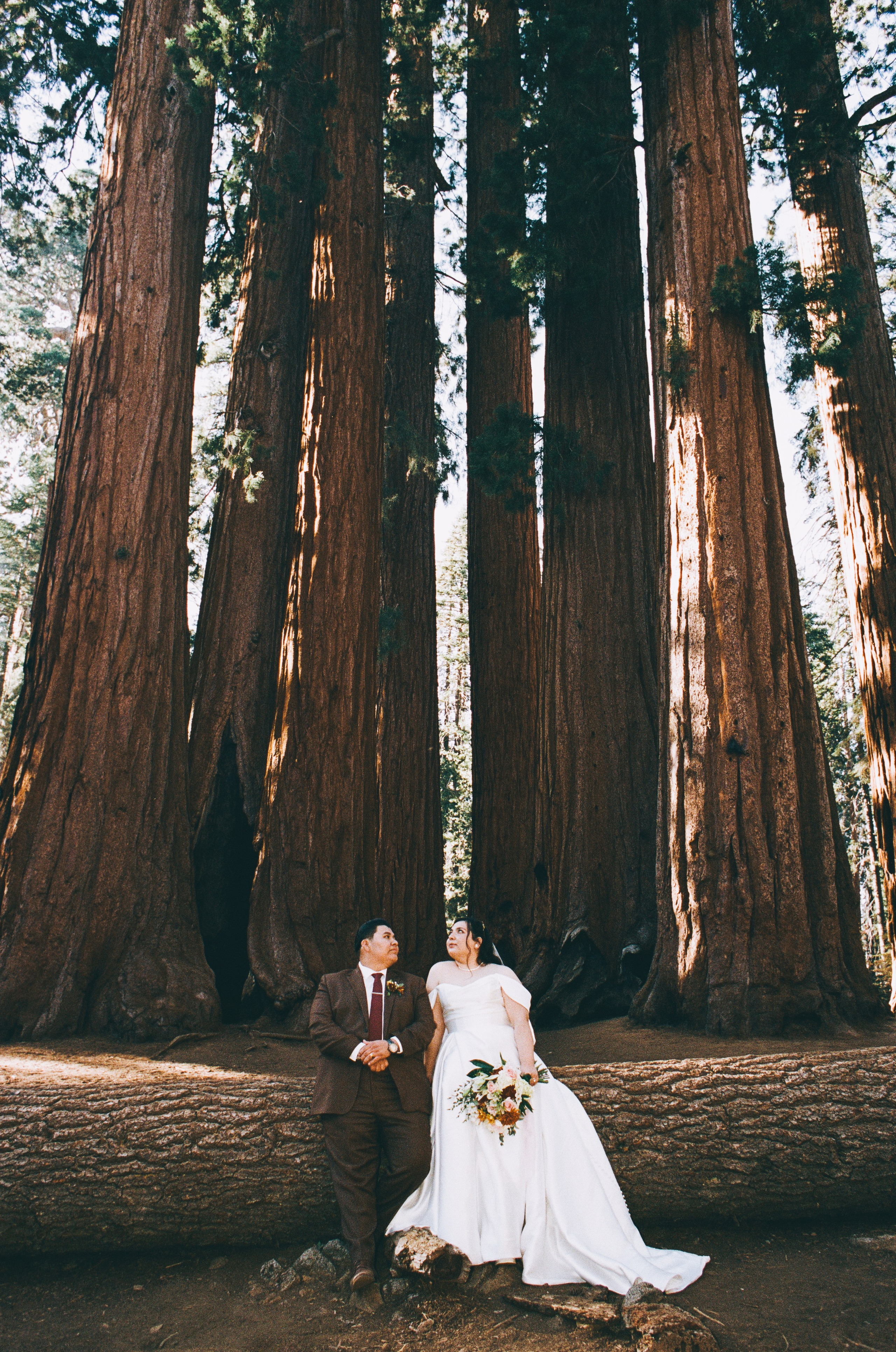 a bride and groom smiling to each other next to giant sequoias 