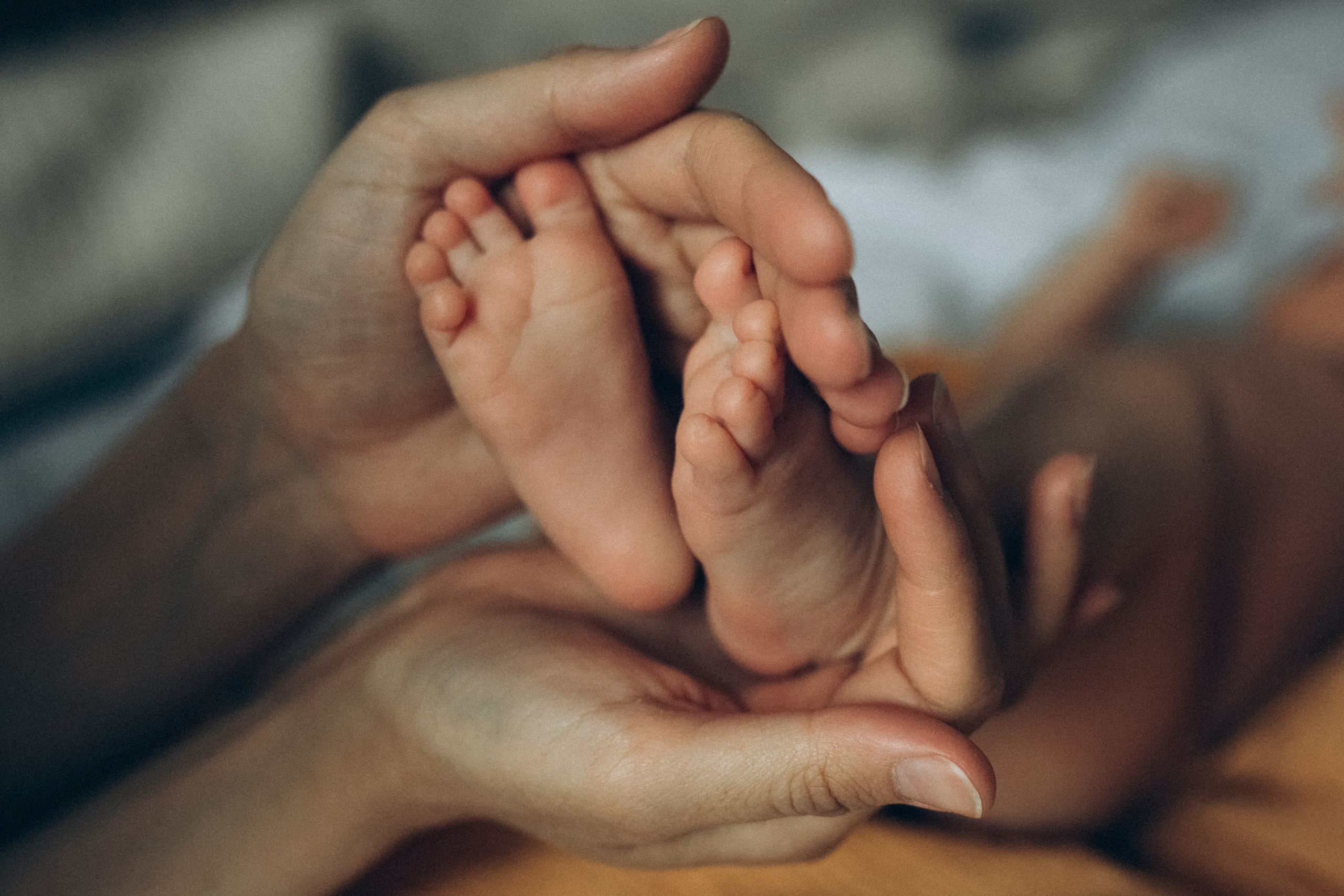 Вера паулина Аня илюша. Семейный фотограф в Минске и РБ Стеликова Анна