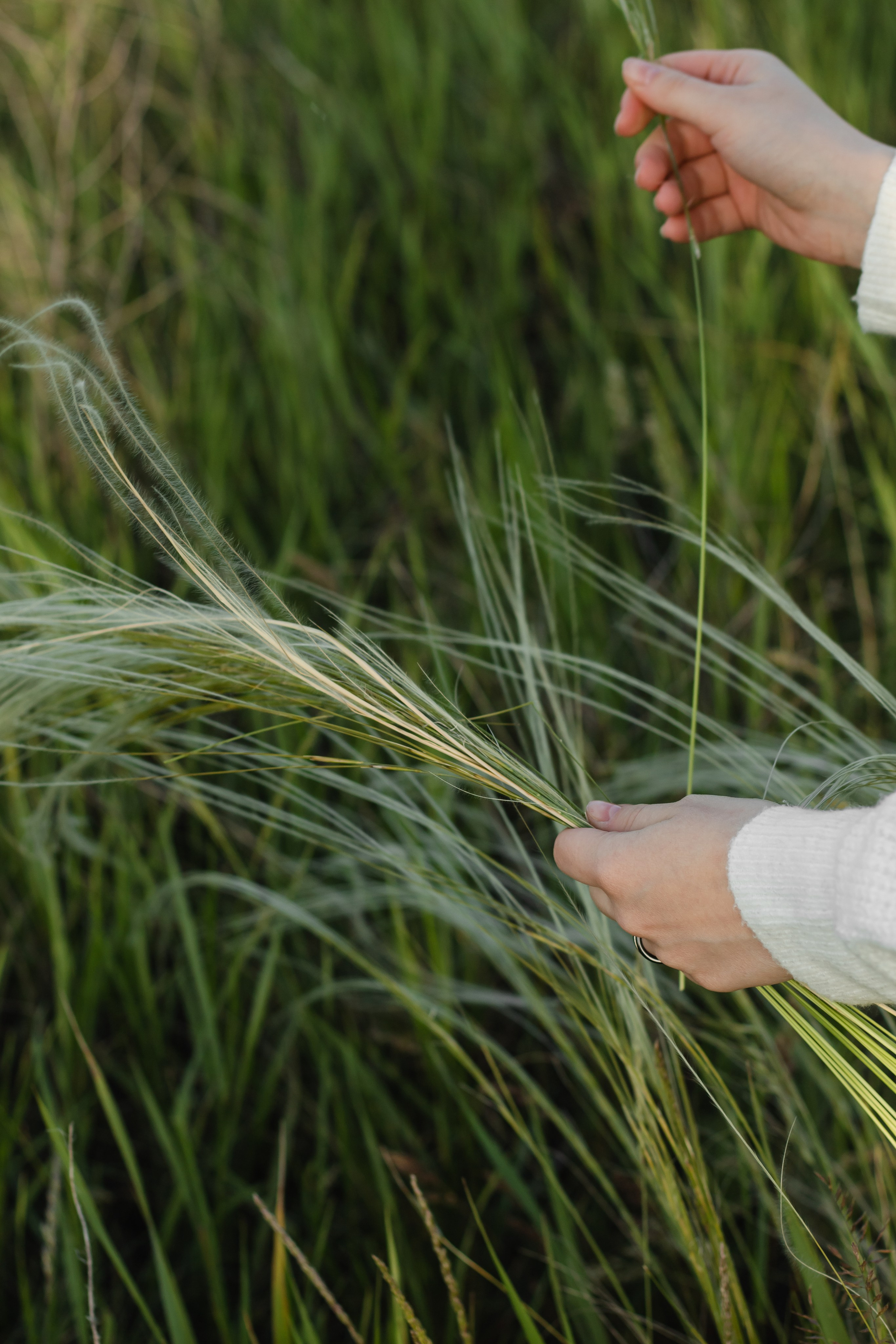 Ольга. Фотограф Санкт-Петербург. Аврамова Анастасия