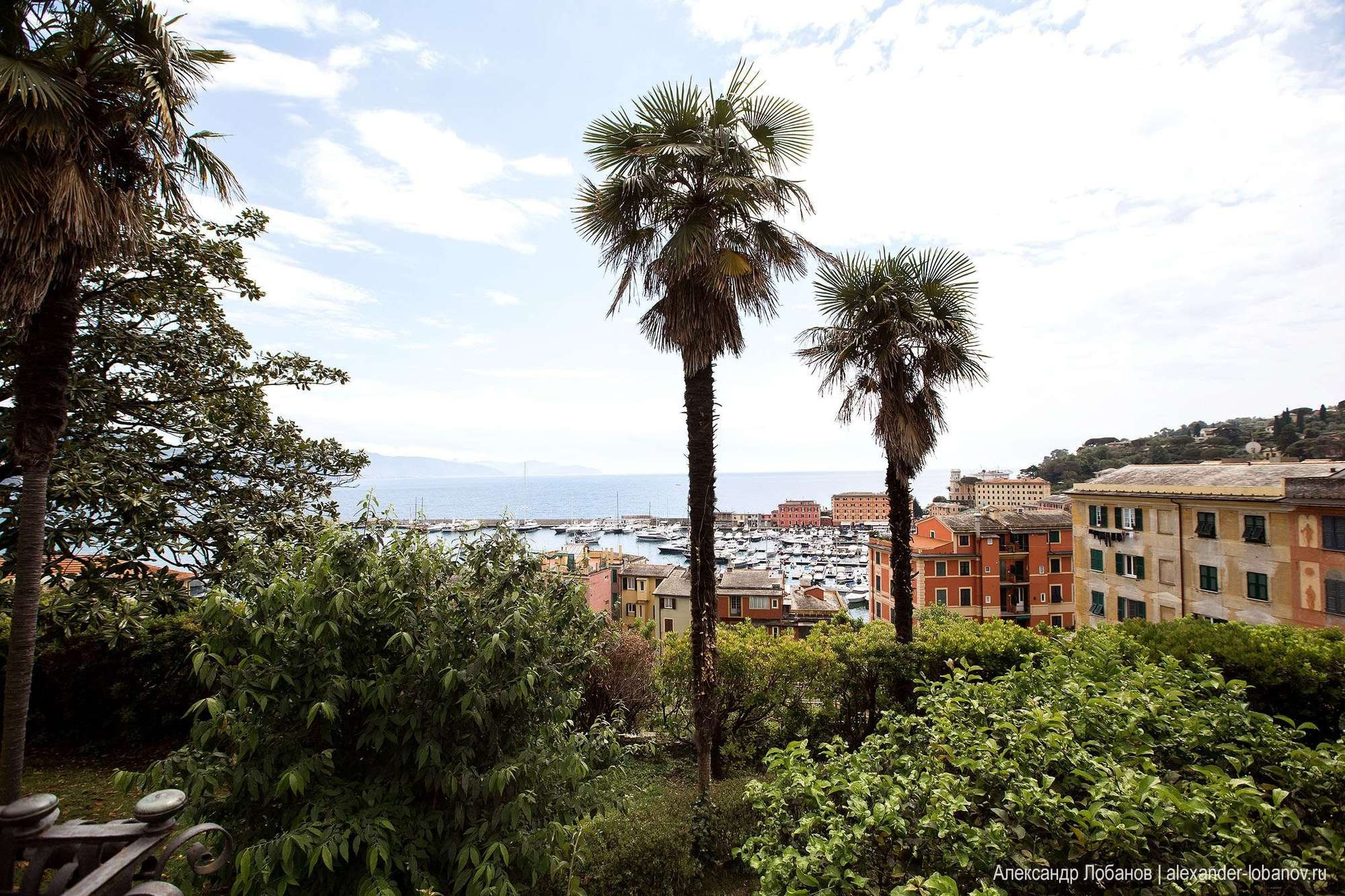 Свадьба Олега и Виктории в Портофино, Италия