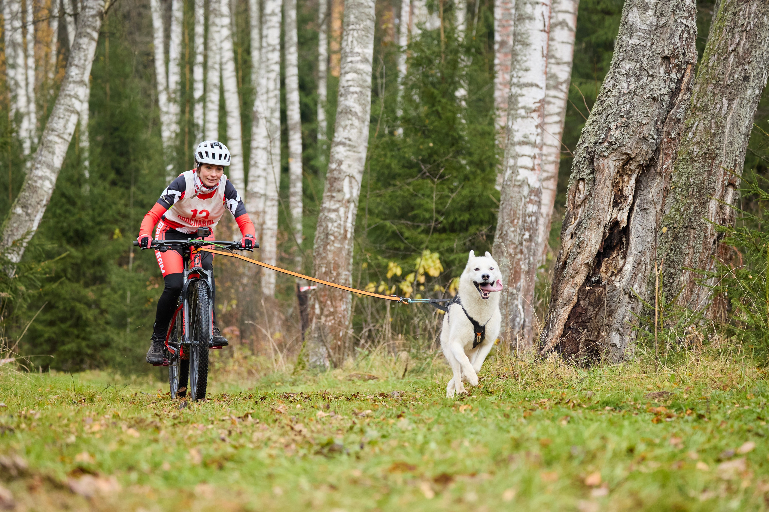 Чемпионат по ЕС Ярославской области. Фотограф Ирина Астор