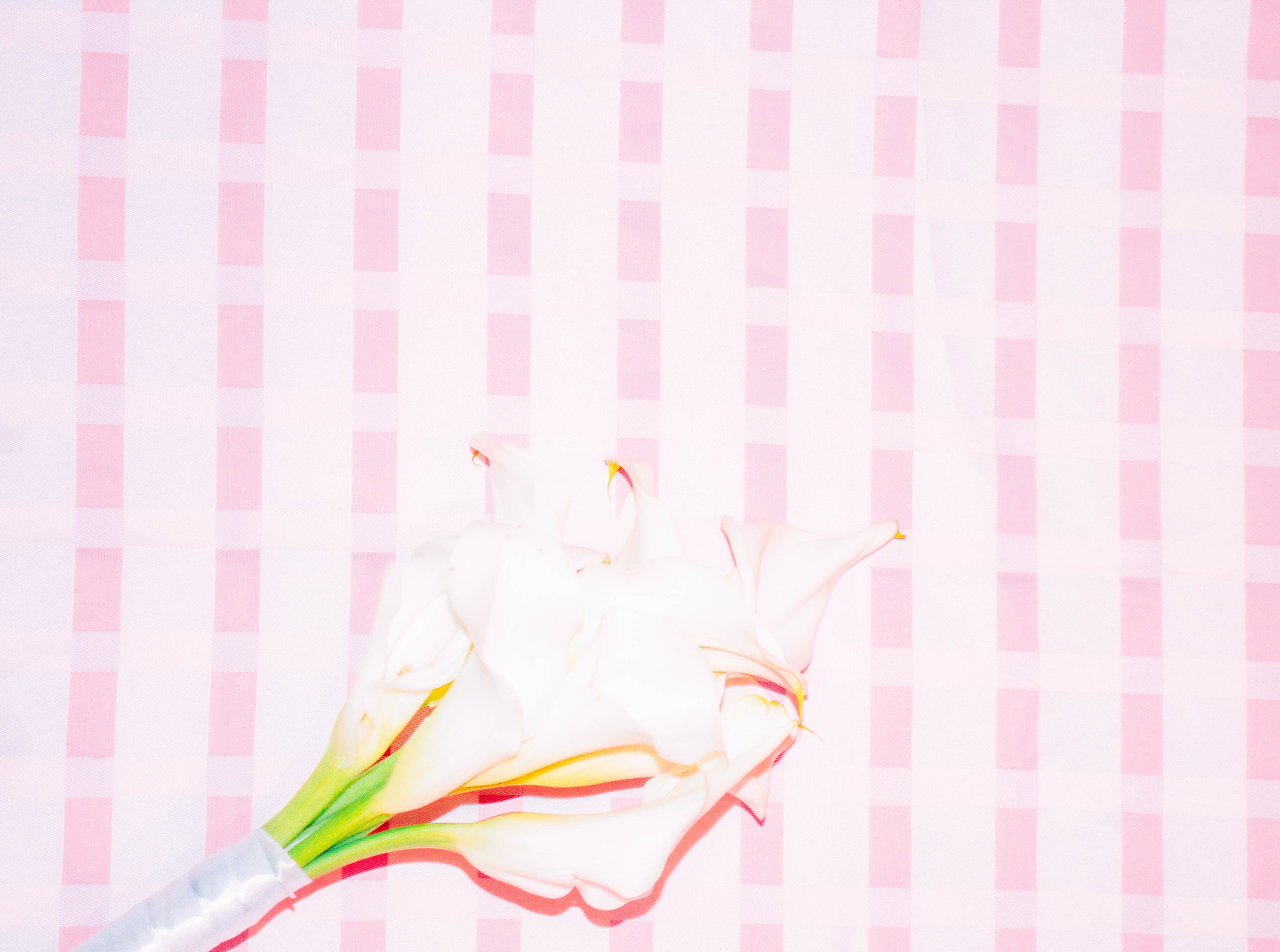 ПРИНТЫ. Виктория Князева| фотограф из Санкт-Петербурга