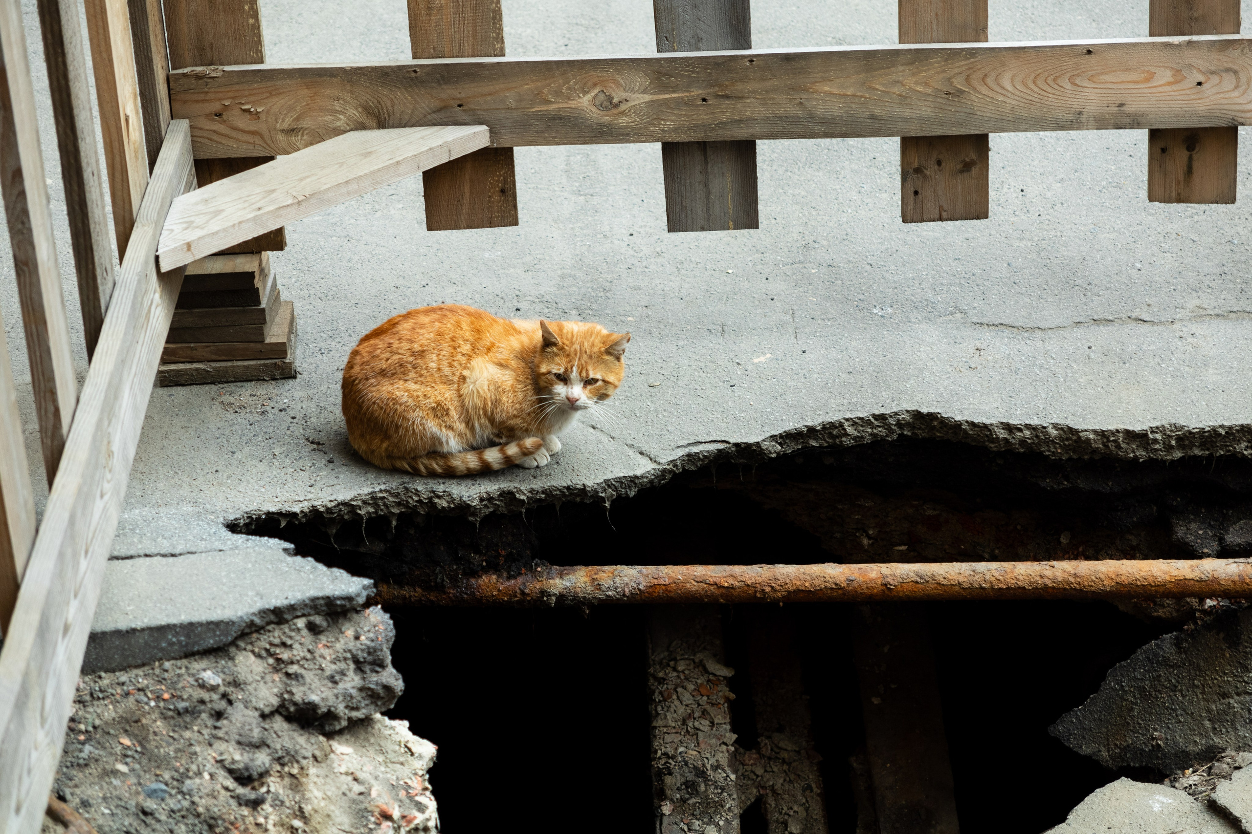 Уличная фотография. Репортажный фотограф в СПб
