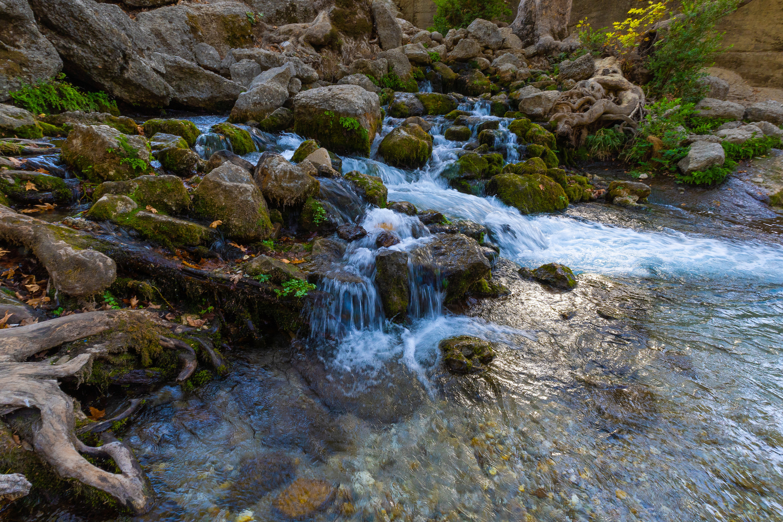 Даниил Мурай. Семейное фото. Мужской портрет. Женский портрет. Даниил Мурай — Фотограф Зеленоград- Аланья