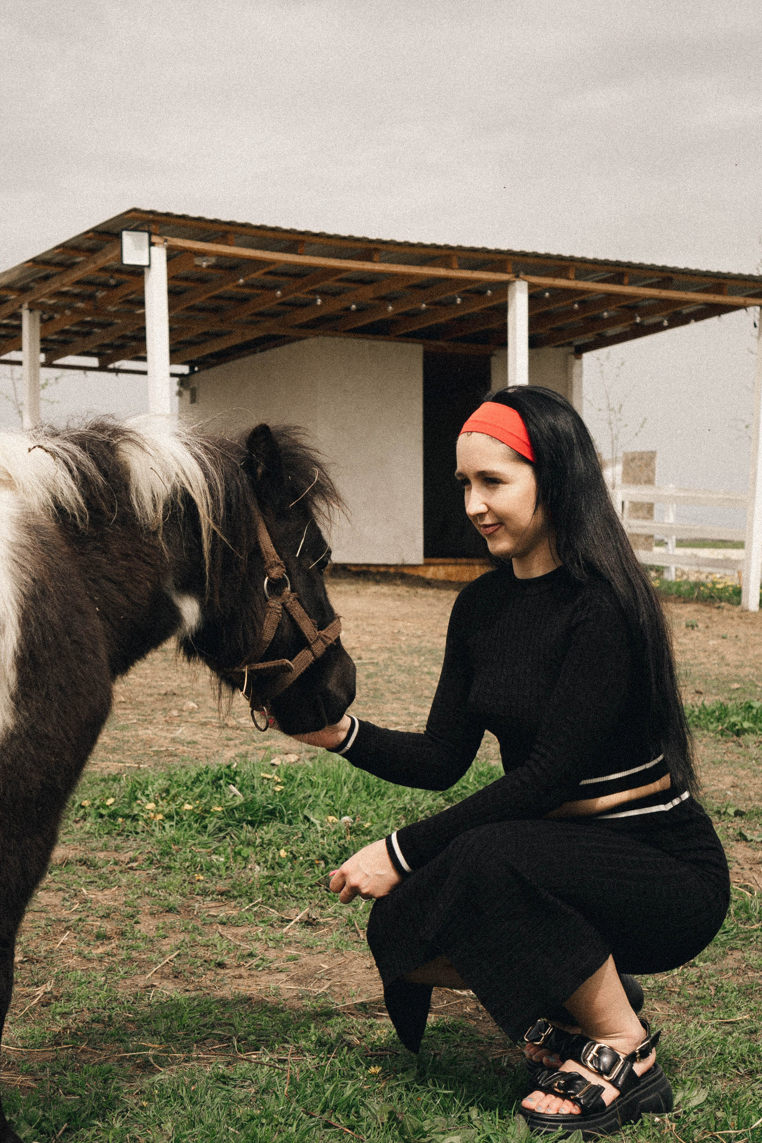 Ферма Альпак. Профессиональный фотограф, Санкт-Петербург — Виктория Богомолова
