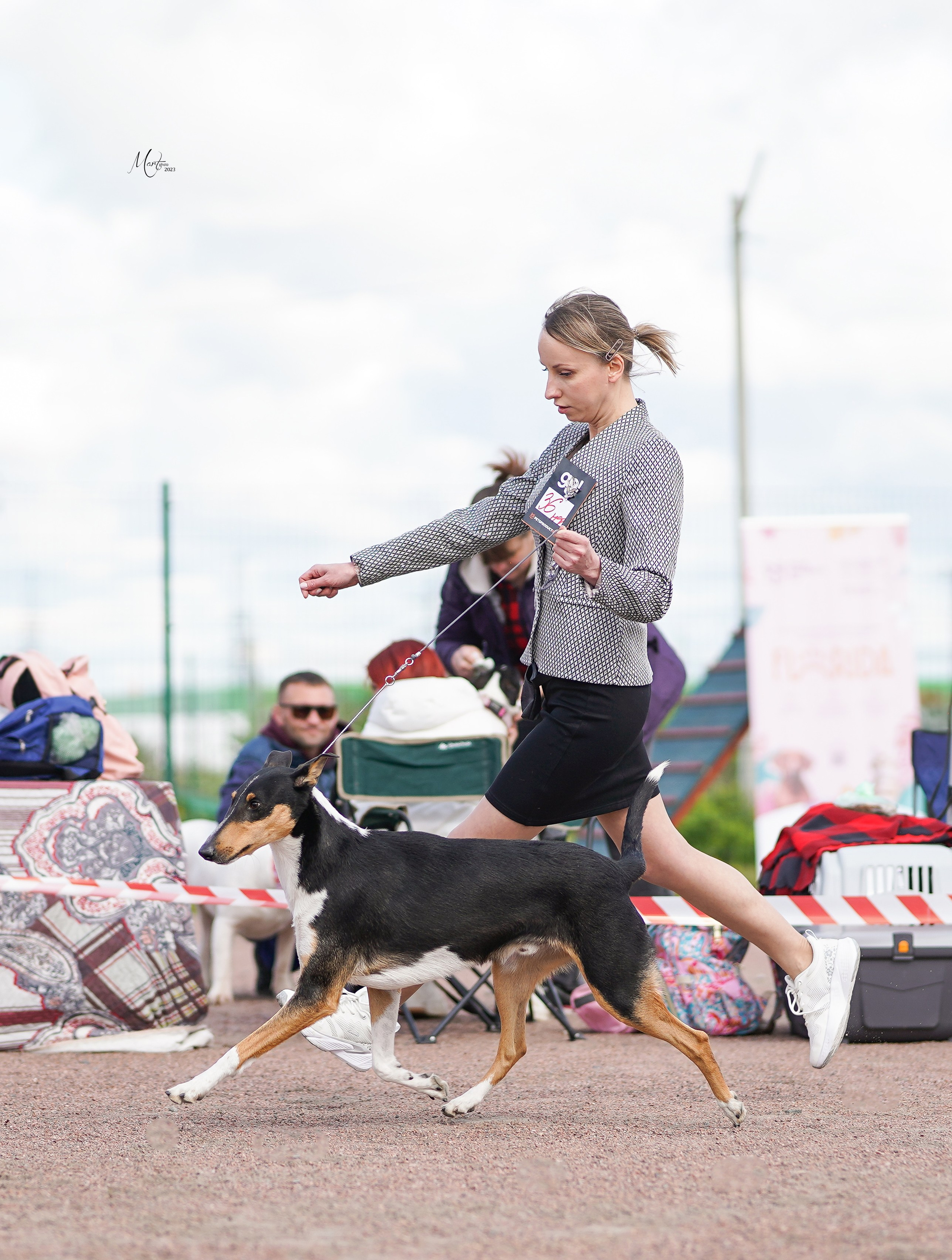 Выставки 2023. Фотограф-анималист в Санкт-Петербурге Яна Мартынова