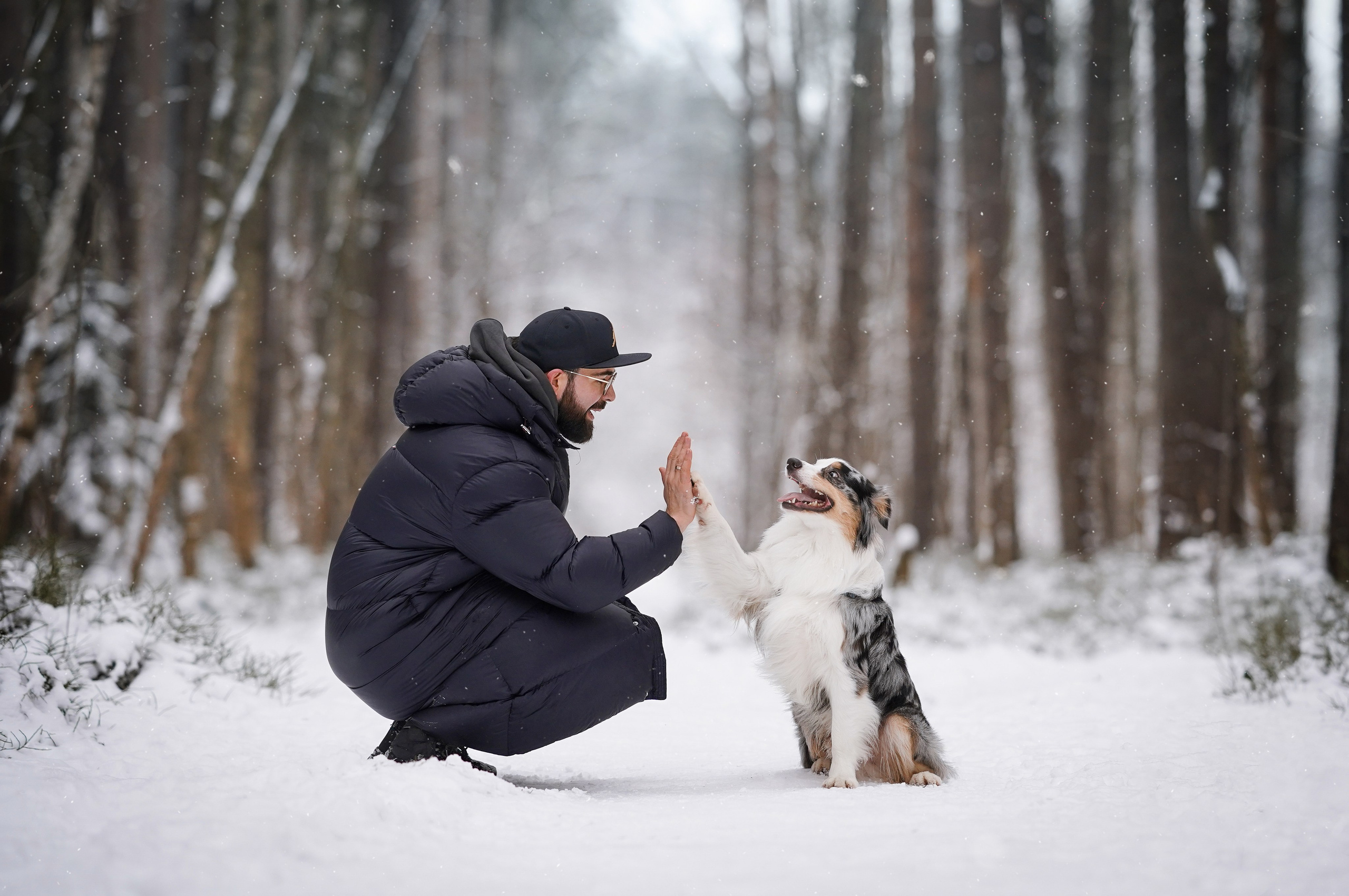 Антон Аиша и Римус. Фотограф-анималист в Санкт-Петербурге Яна Мартынова