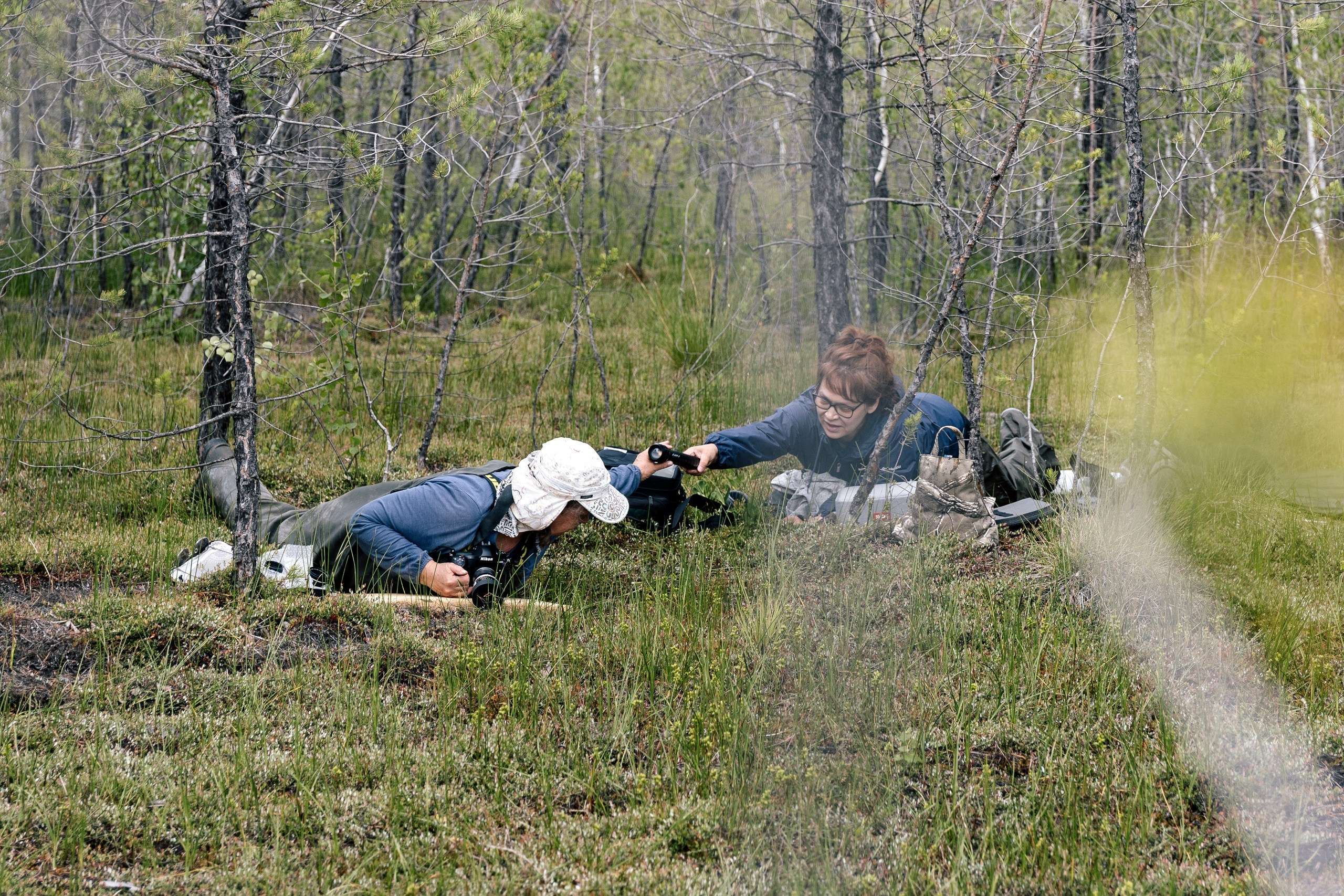 Фотопленэр на болоте. Фотообъединение Самарского областного отделения Союза журналистов России