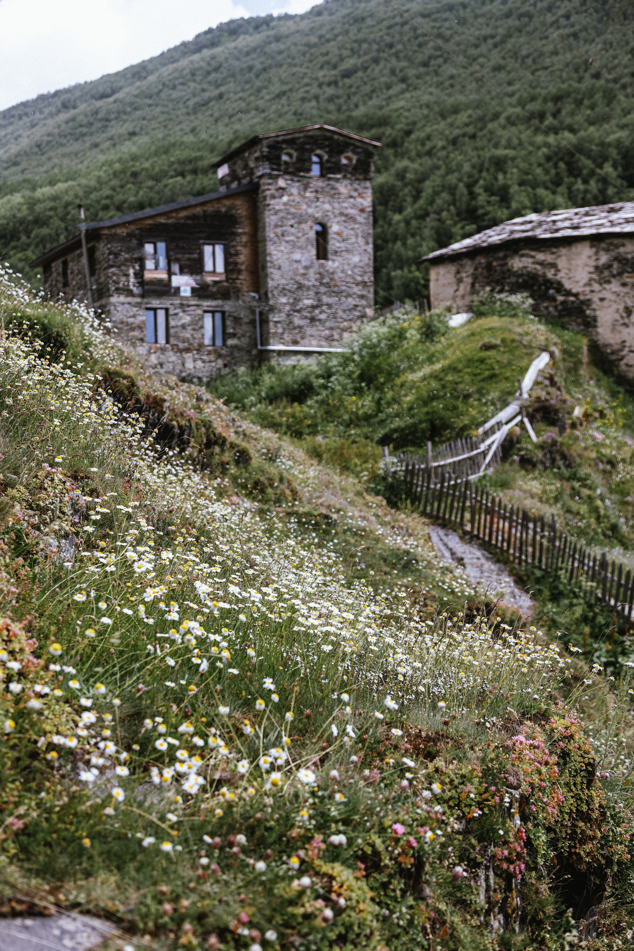 Грузия. Добродеева Алла фотограф, Москва