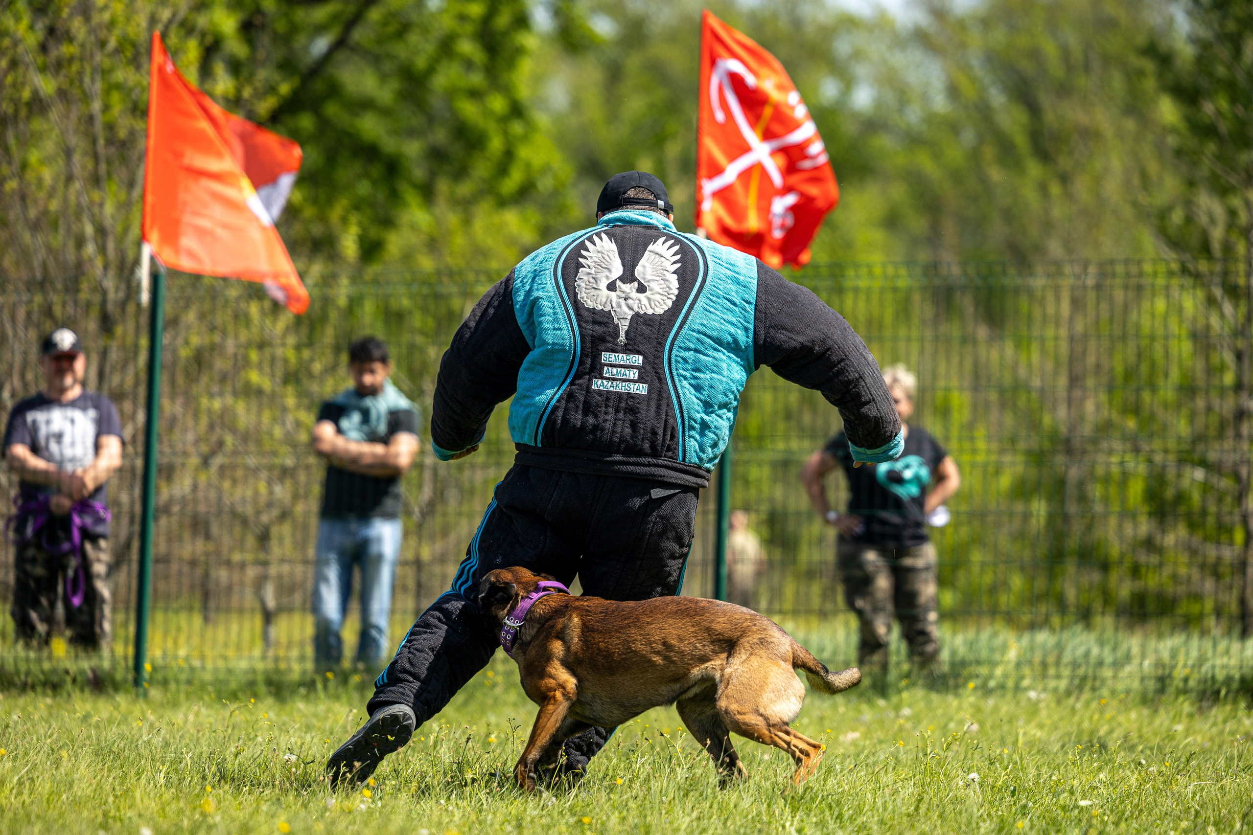 Испытания по мондьорингу в Нижнем Новгороде. Фотограф-анималист Анна Маринич