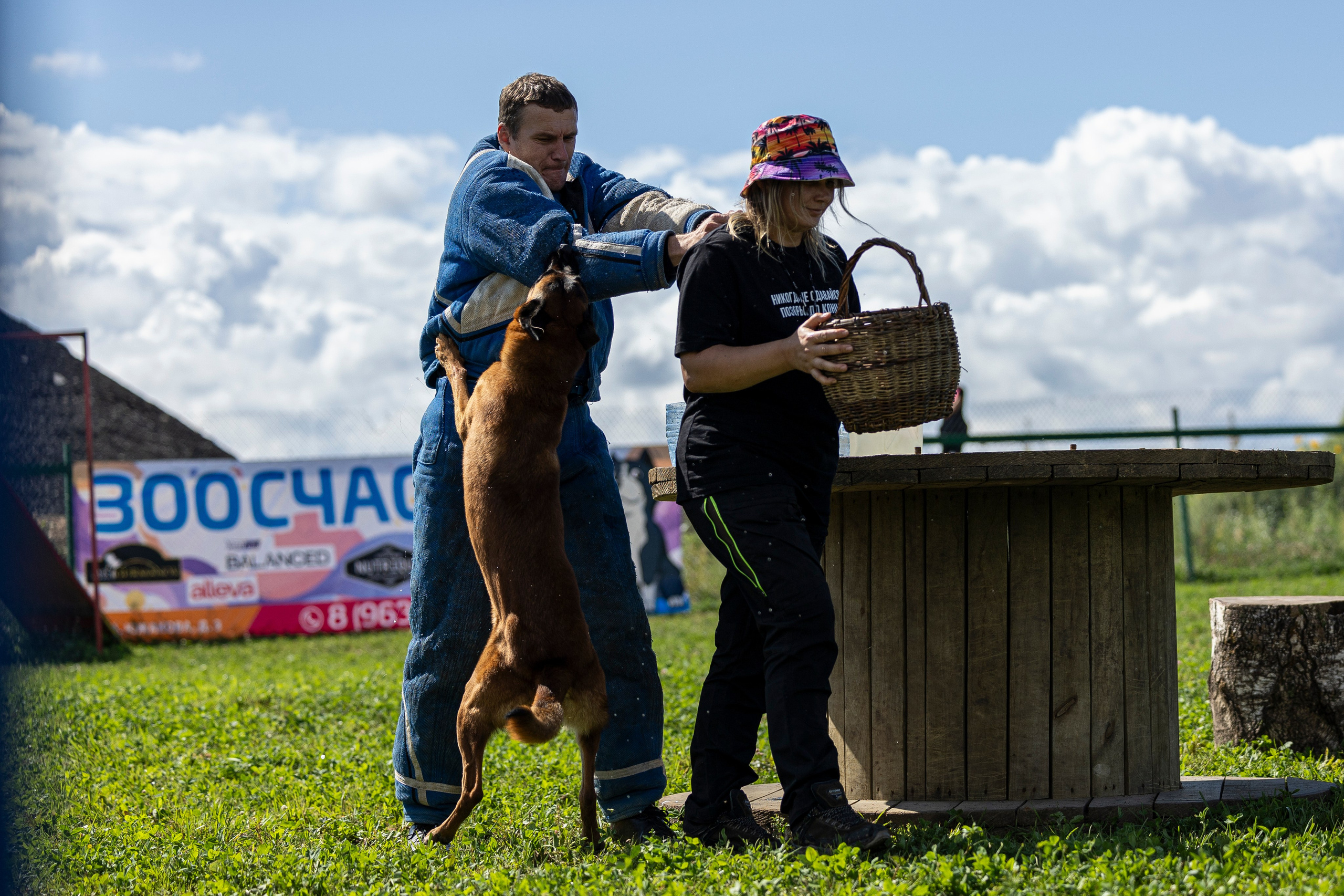 Соревнования по Мондьорингу г. Вологда 10-11.08.2024. Фотограф-анималист Анна Маринич