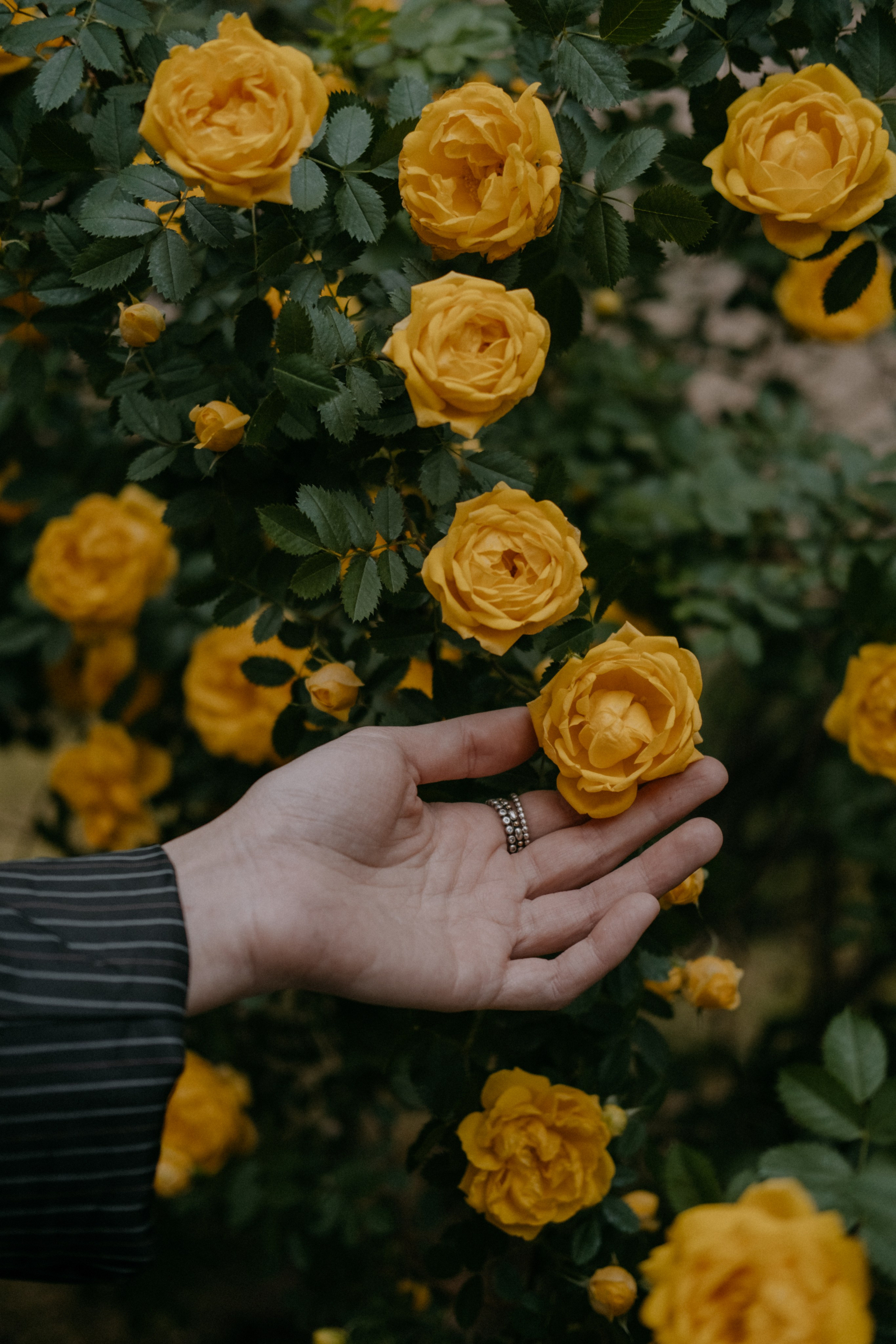 Лиза. Фотограф в Астрахани Миронова Анастасия