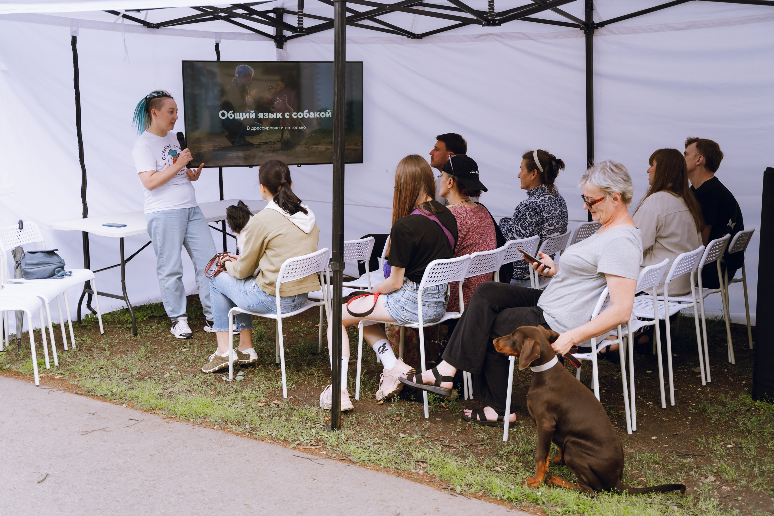 Площадка фестиваля «Мампус и его друзья» в Лесопарке 2025. Фотограф Надежда Погребняк | Рязань | Москва