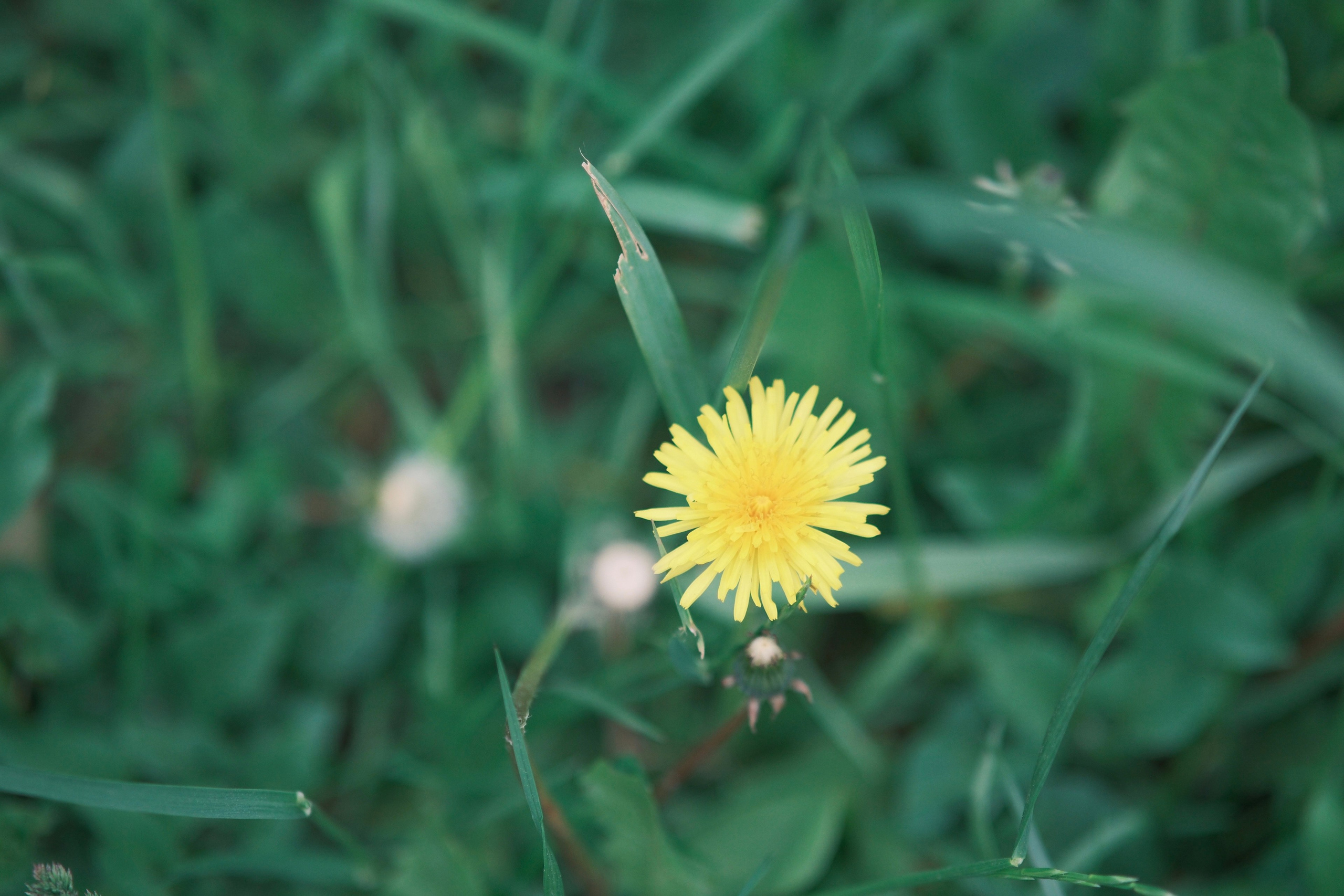 Фотограф Москва. Фотограф и художник в Москве Евгения Нюнина