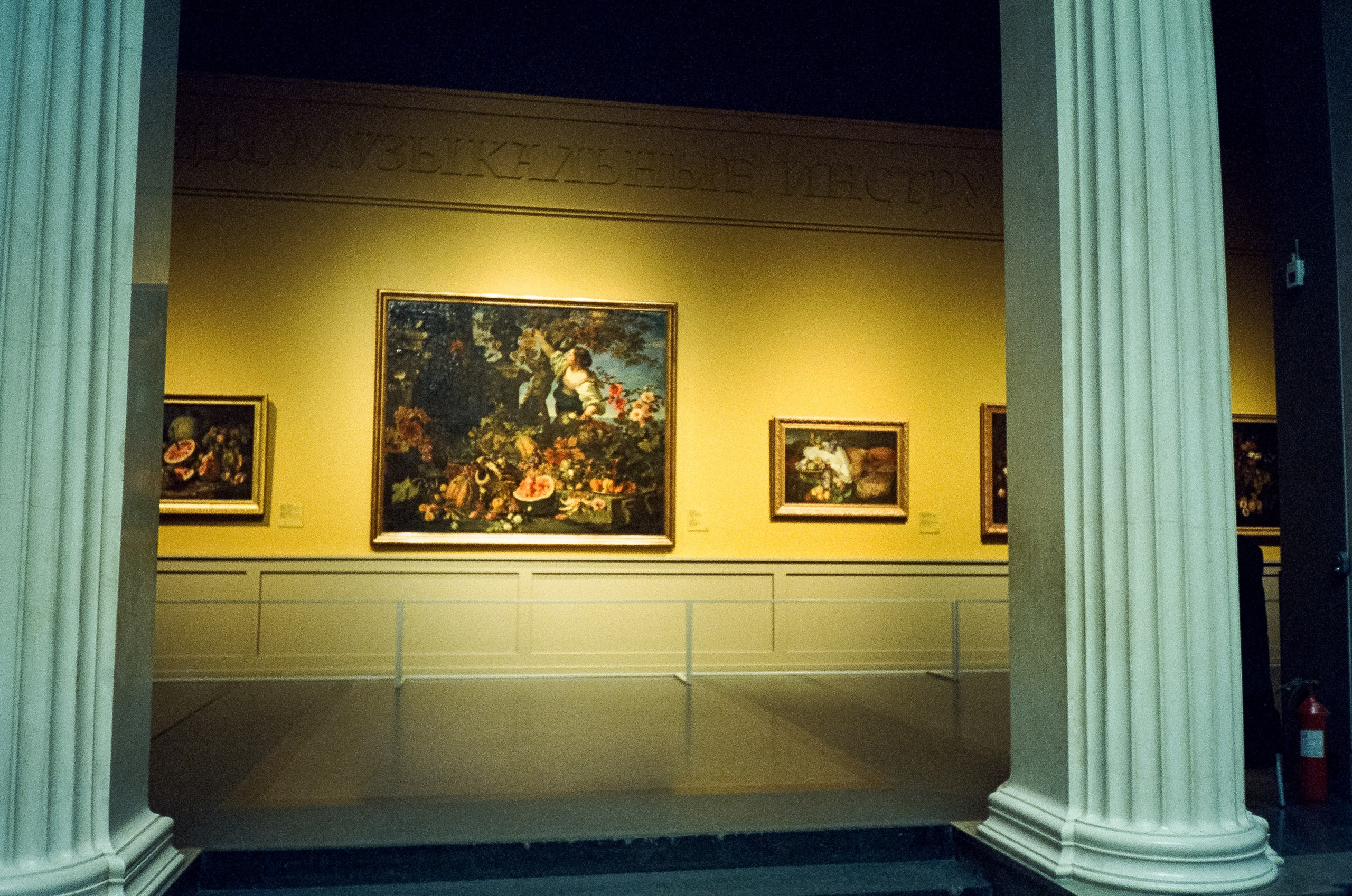 Цветы, плоды, музыкальные инструменты в Пушкинском музее. Фотограф-документалист Мария Осокина