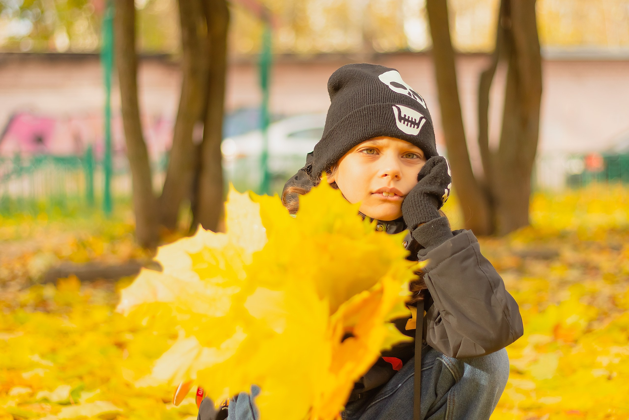 Свет и Цвет. Аmat Victoria Сuram