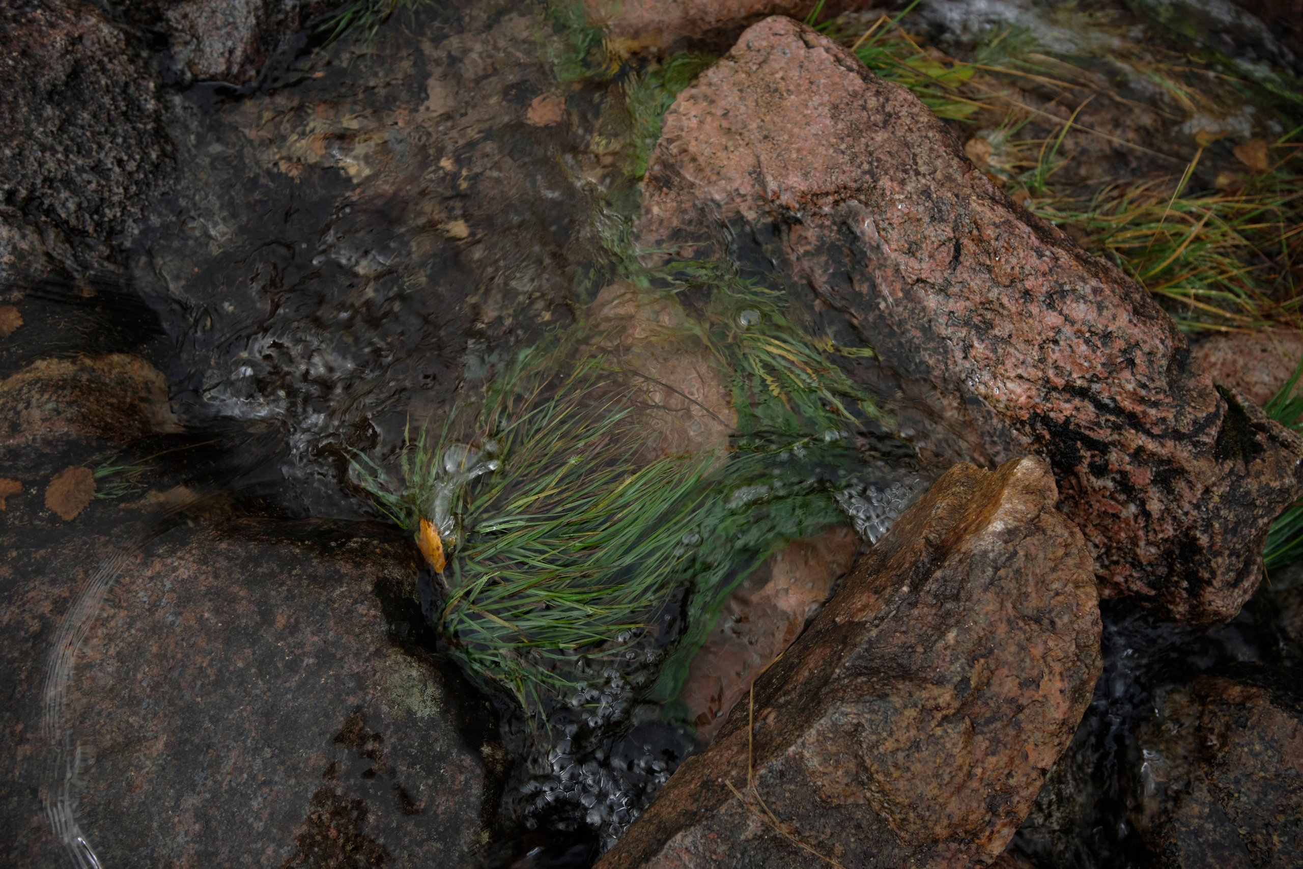 Путешествие в Териберку. Елена Павленко. Фотограф. Москва