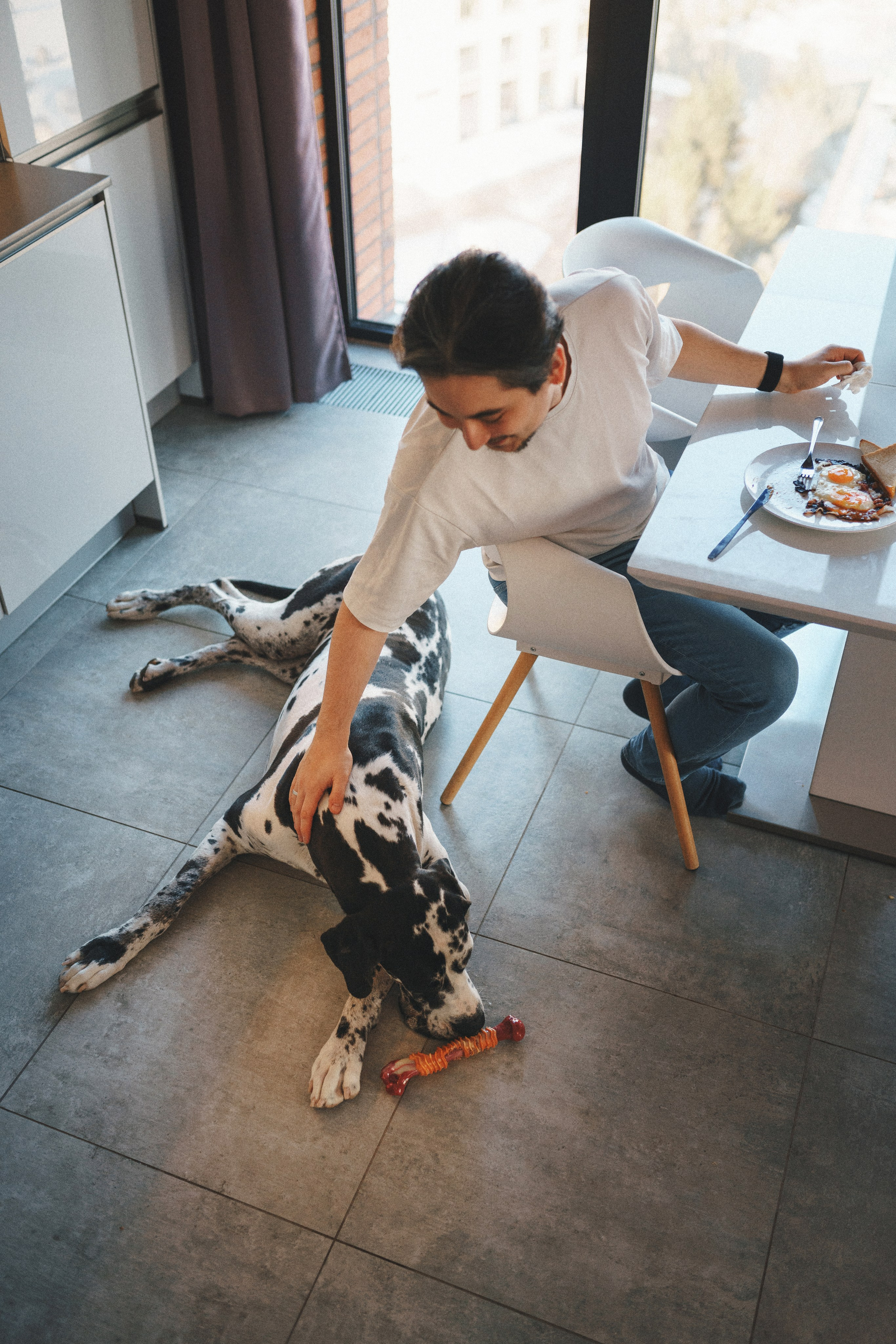 M-Pets. Фотограф анималист Осипчикова Мария