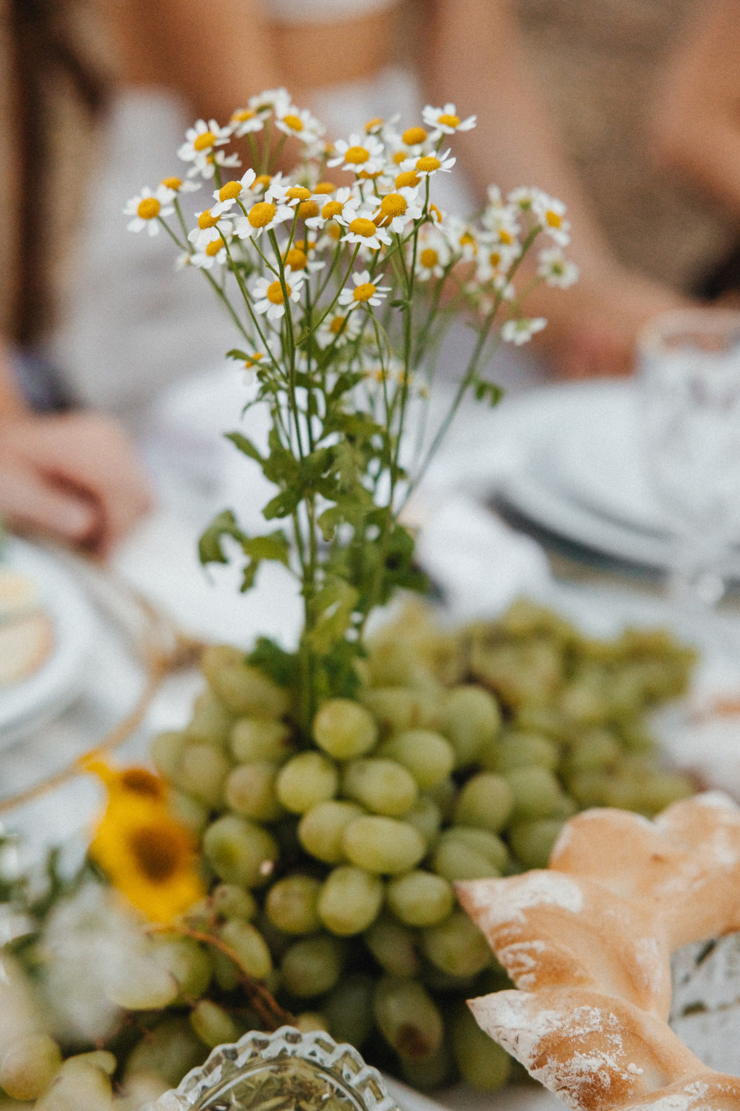 Шепот трав. Свадебный и семейный фотограф и видеограф, Крым, Москва, Санкт -Петербург