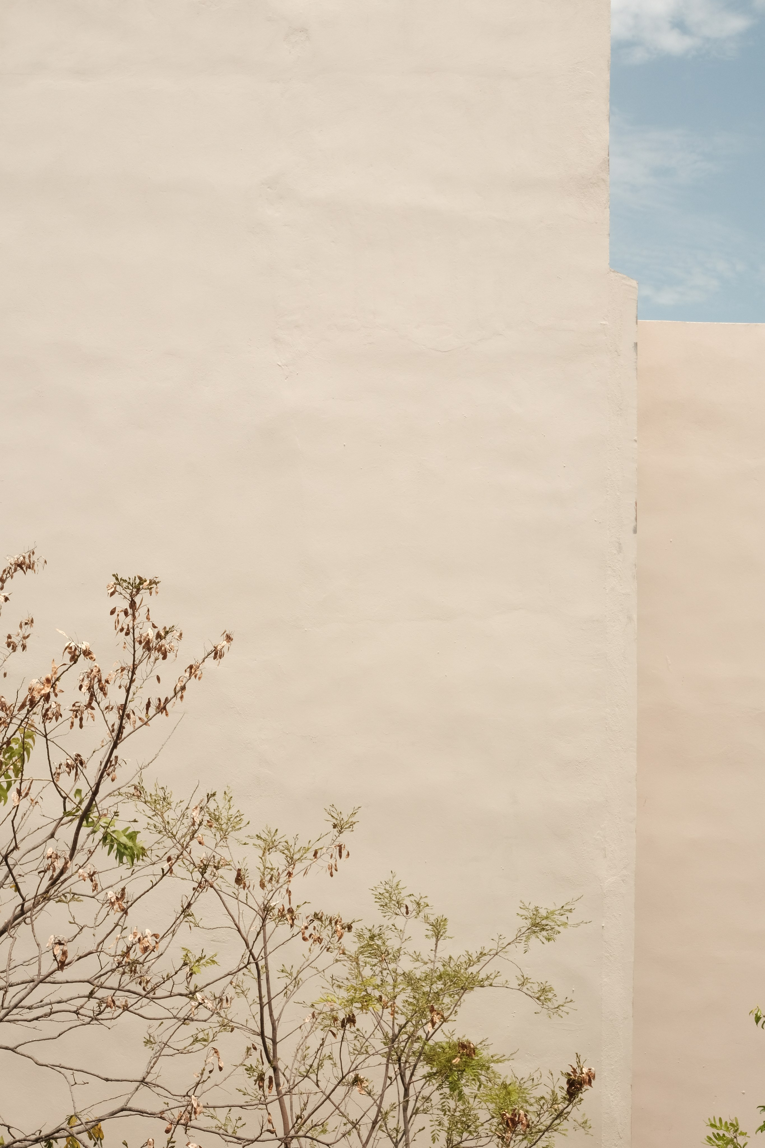 Documentary. Margarita Rodionova — a contemporary lens-based artist currently working in Cancun, Mexico