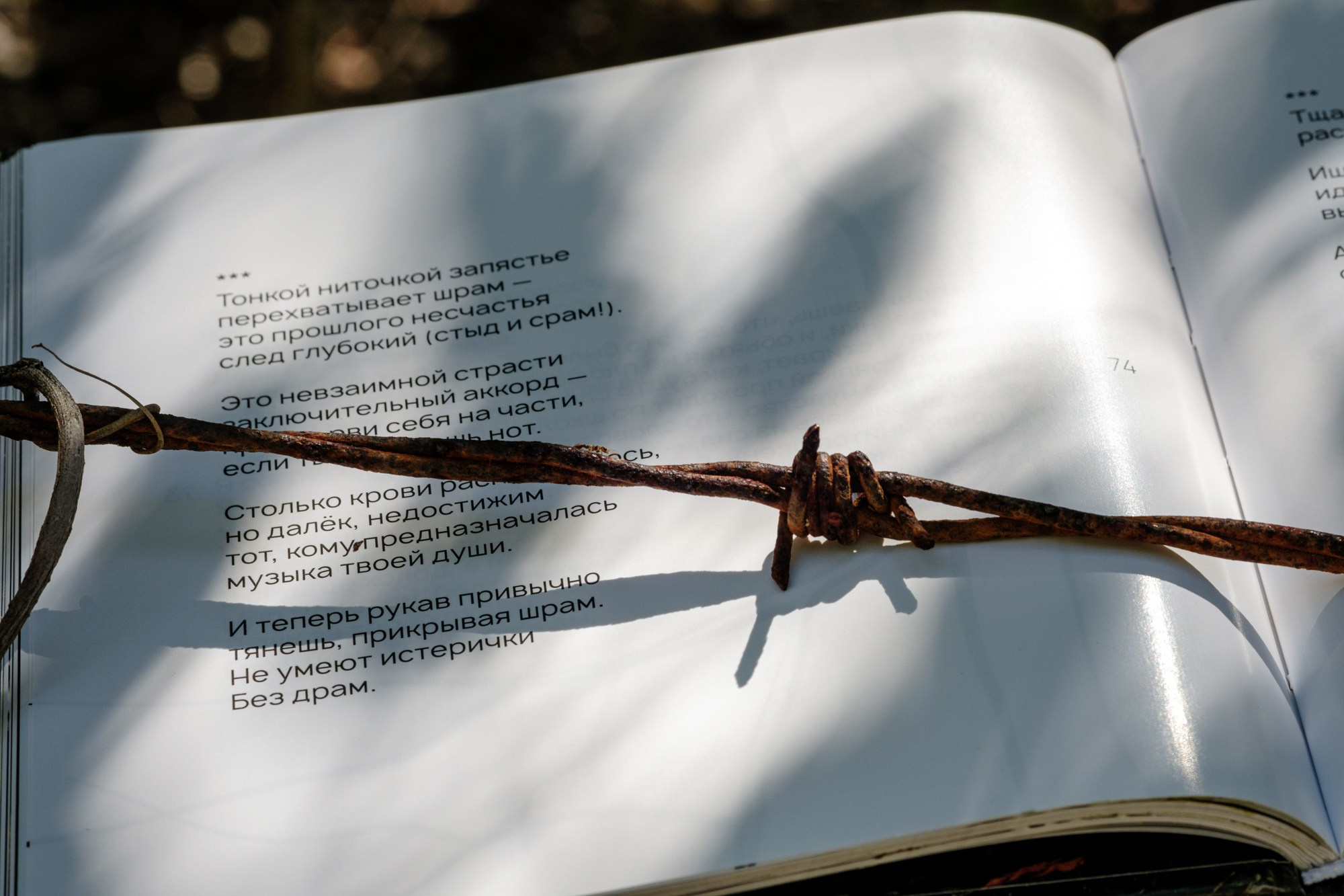 Momotus Azul. Margarita Rodionova — a contemporary lens-based artist currently working in Cancun, Mexico