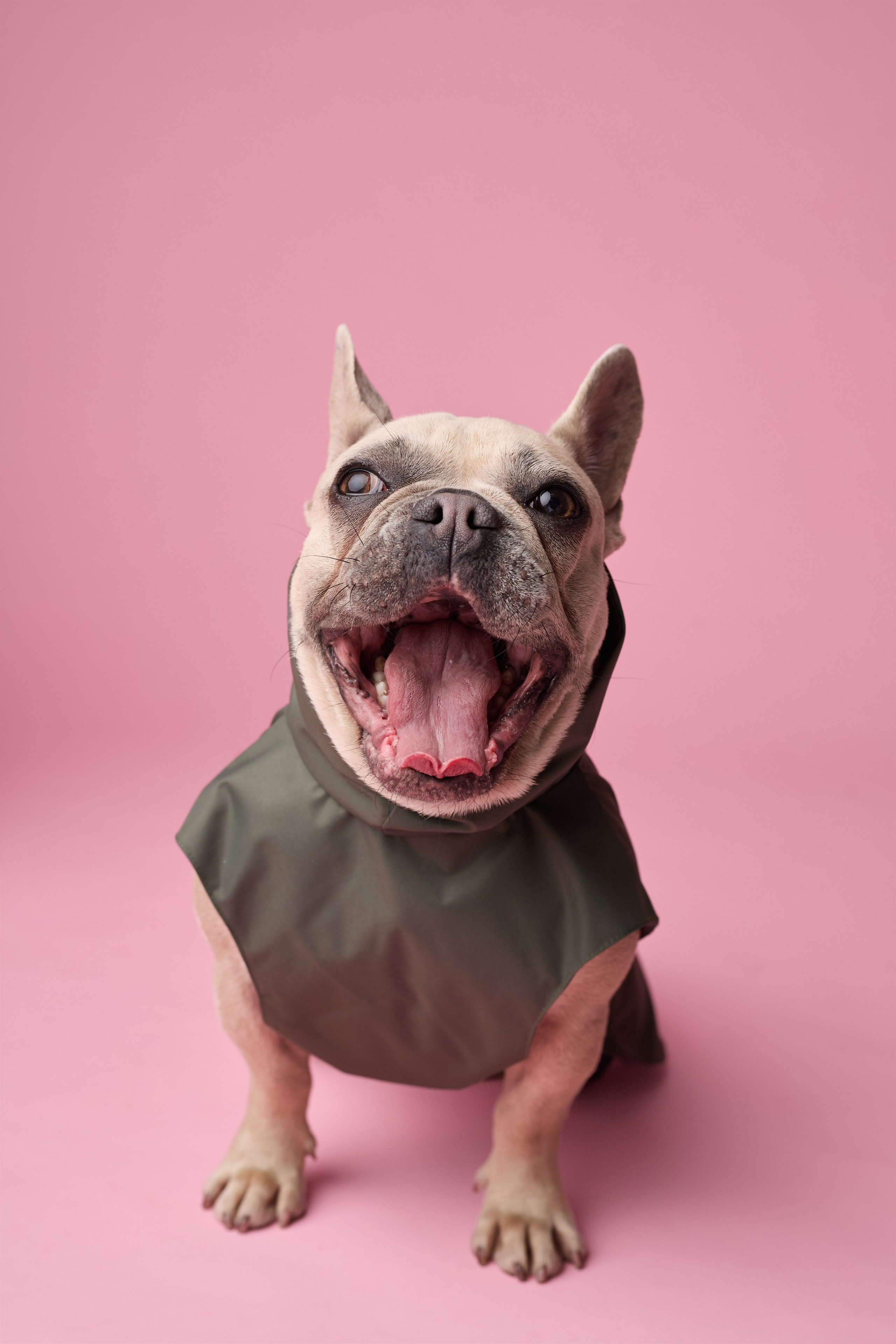 FOSY. Фотограф|Москва-СПб| Анастасия Рябинина