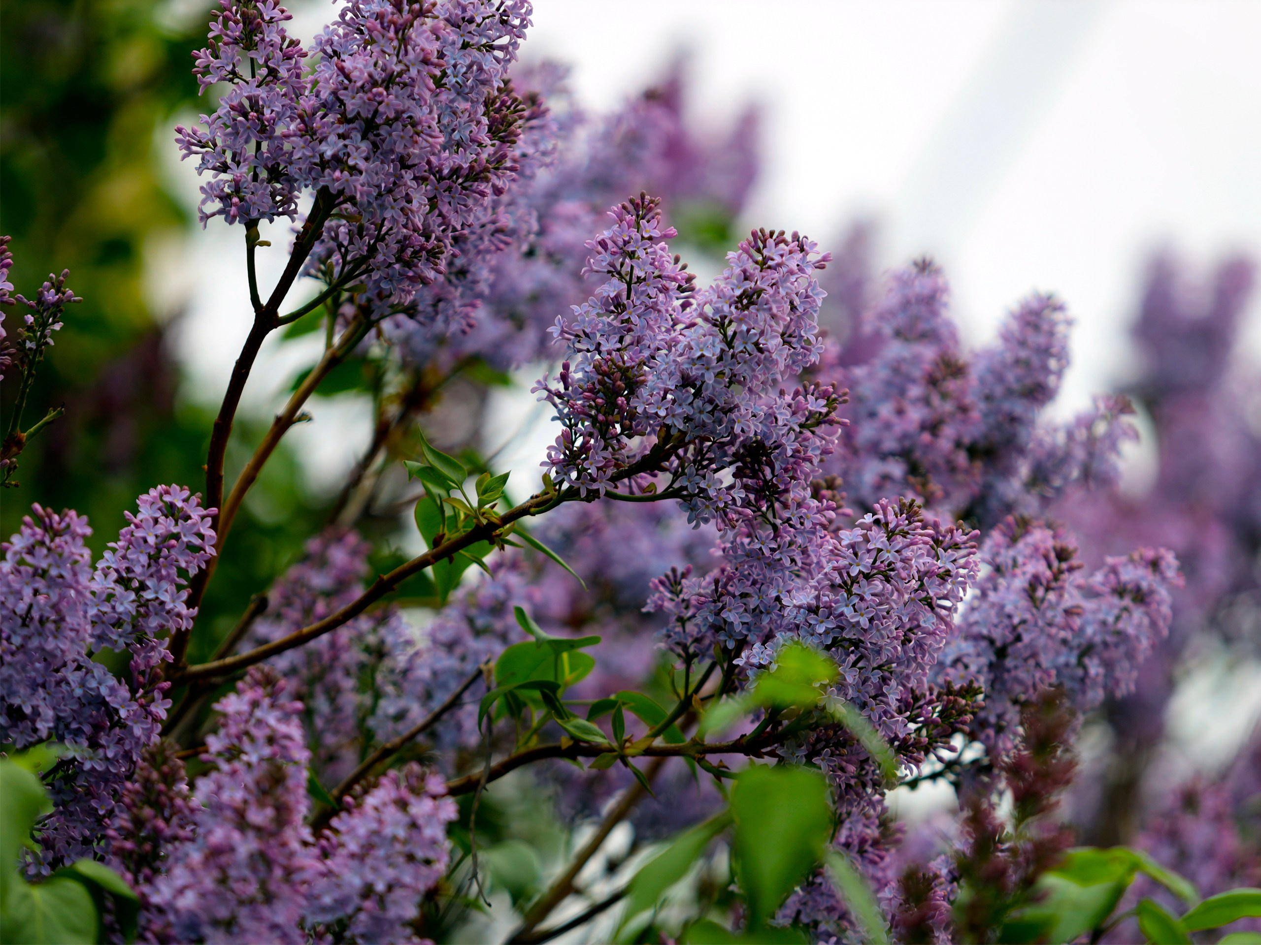 Фотограф | Видеограф в Кургане, Тюмени и Челябинске