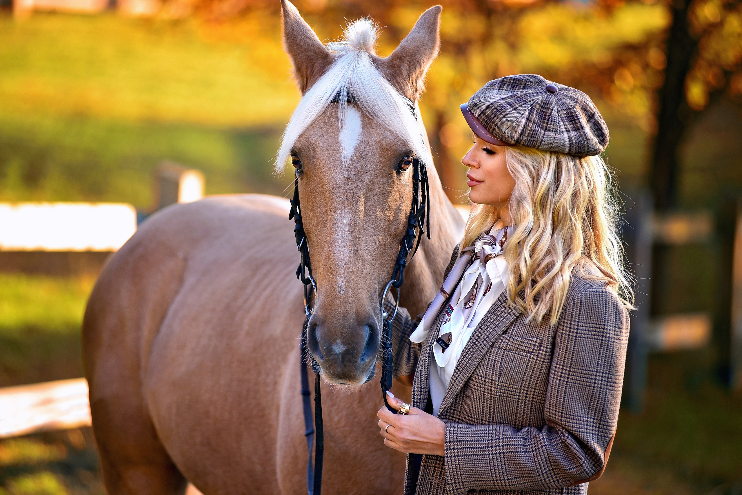 Фото проект «Конюшня». Главная