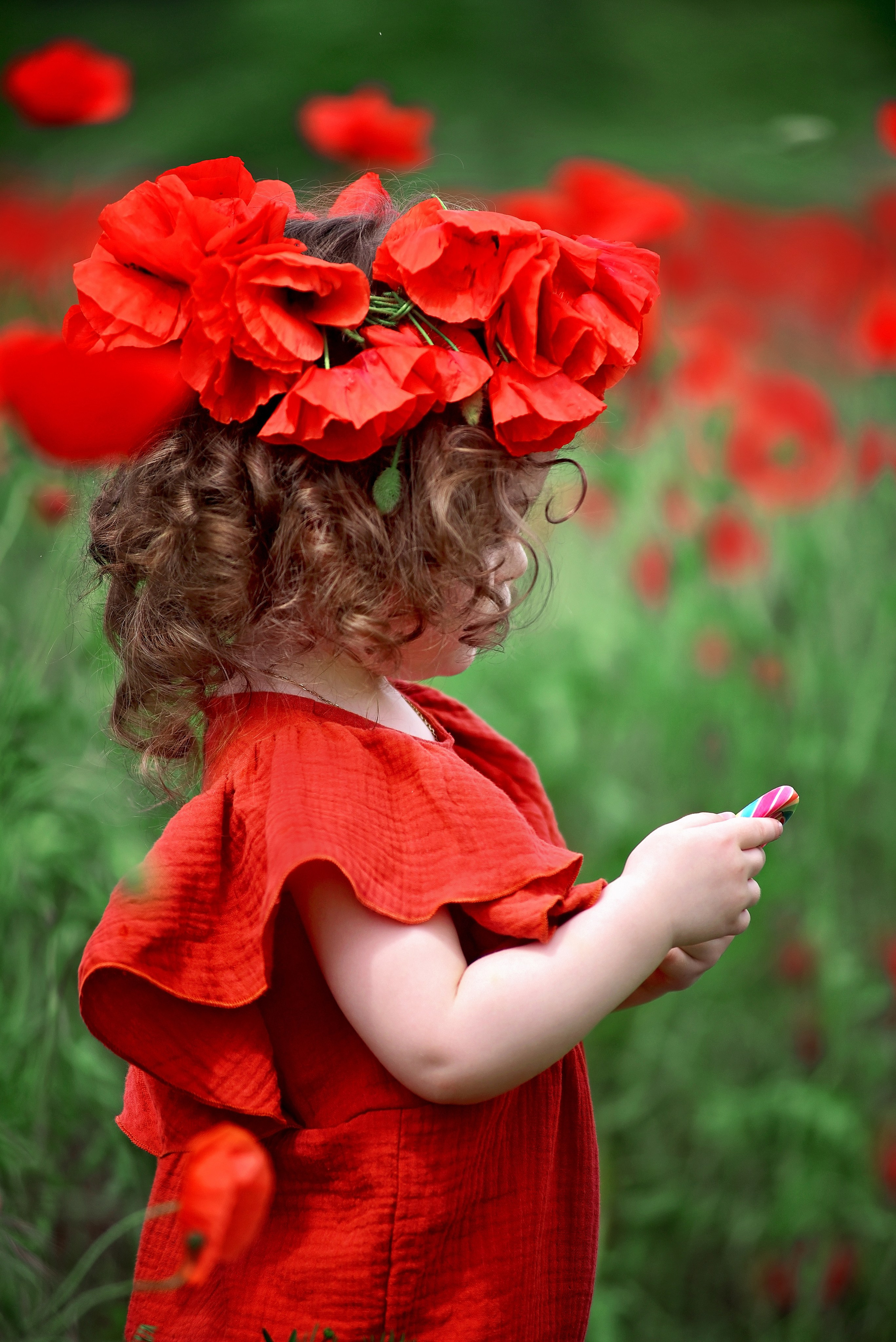 Маки. Главная