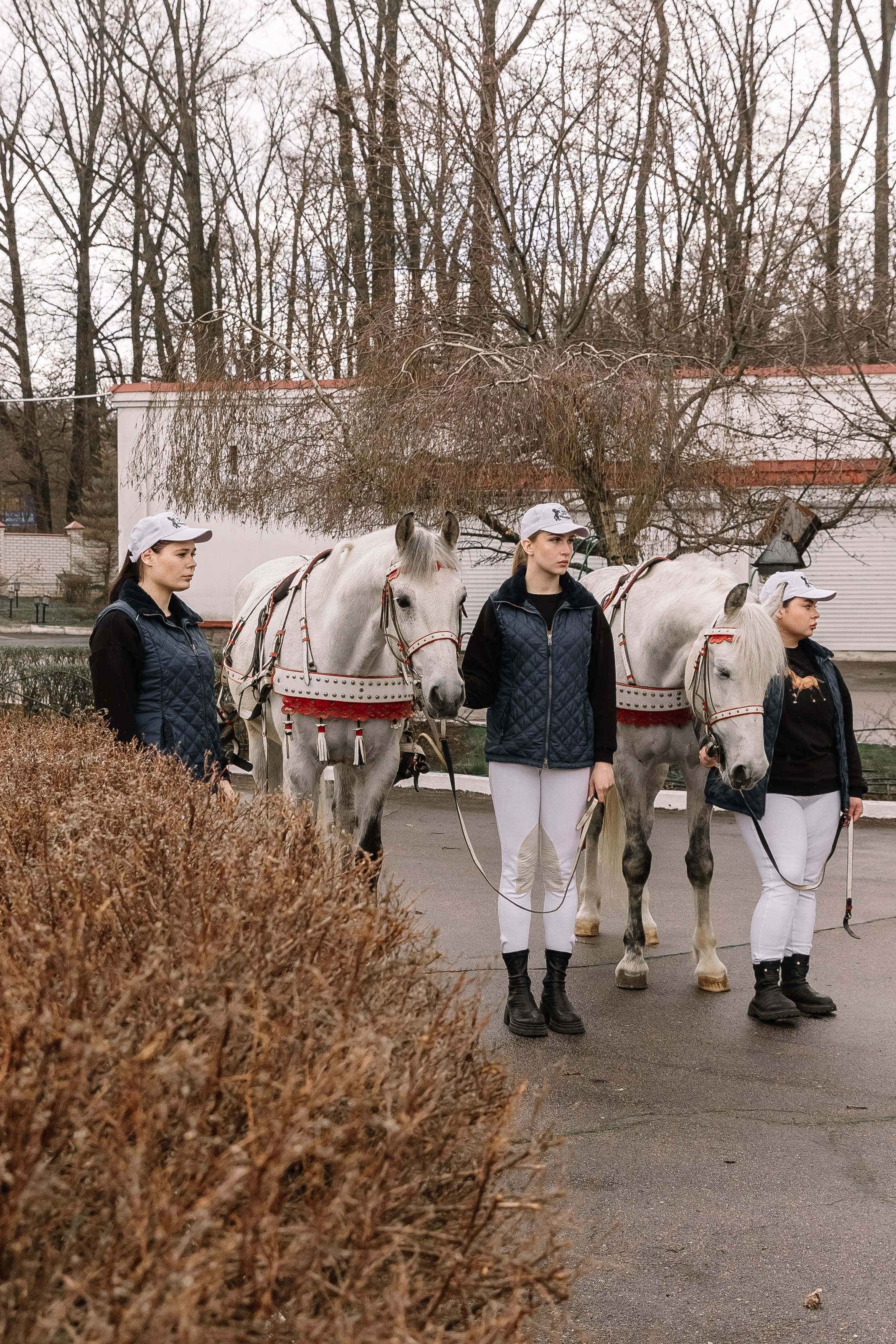 День Орловского рысака. Парк-отель Яр. Свадебный, репортажный фотограф Ирина Шкурина