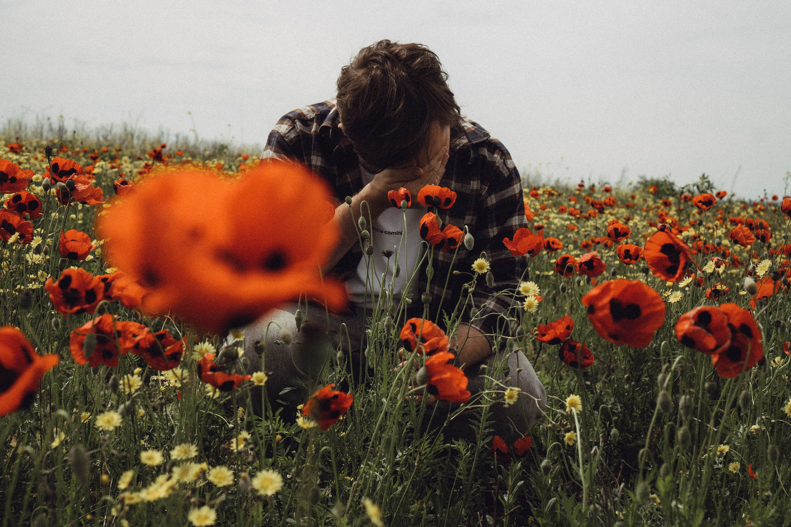 Маки. Профессиональный фотограф, Санкт-Петербург — Виктория Богомолова