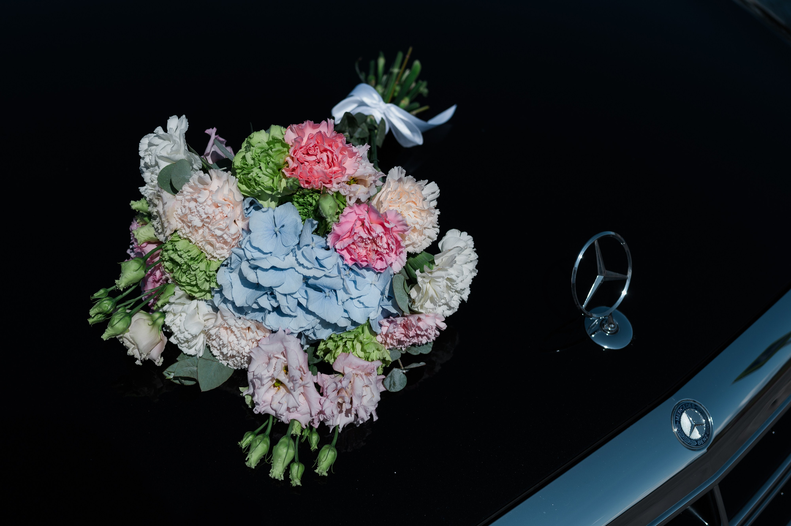 Коля и Марго