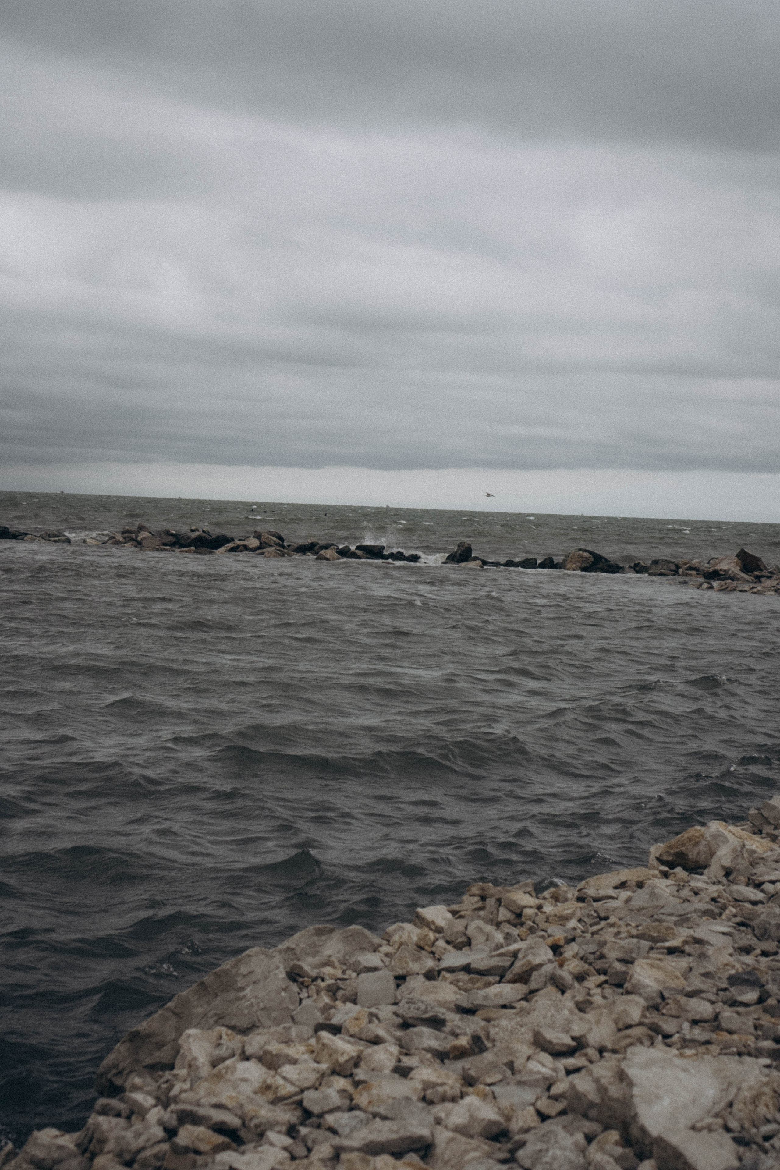 Кавказ. Профессиональный фотограф, Санкт-Петербург — Виктория Богомолова