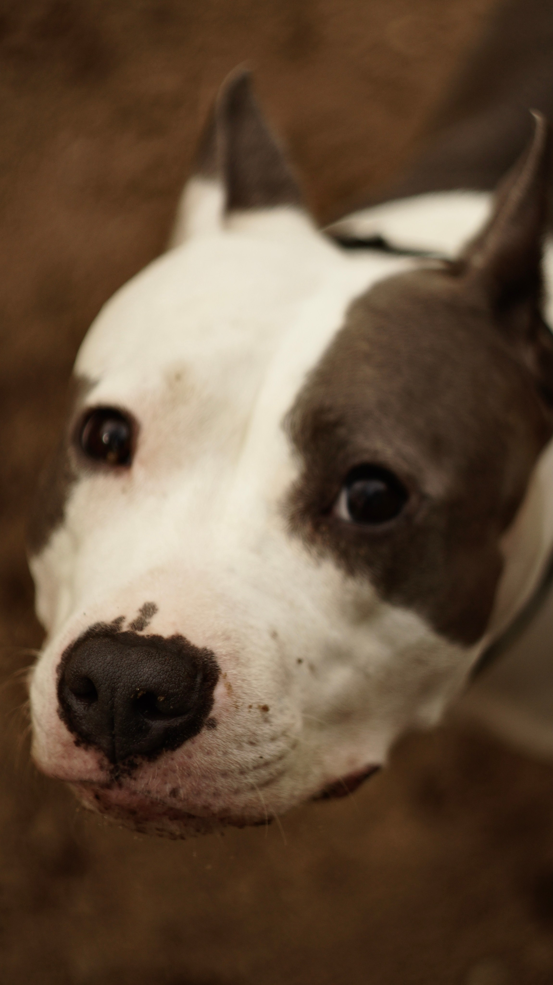 Луна. Профессиональный фотограф