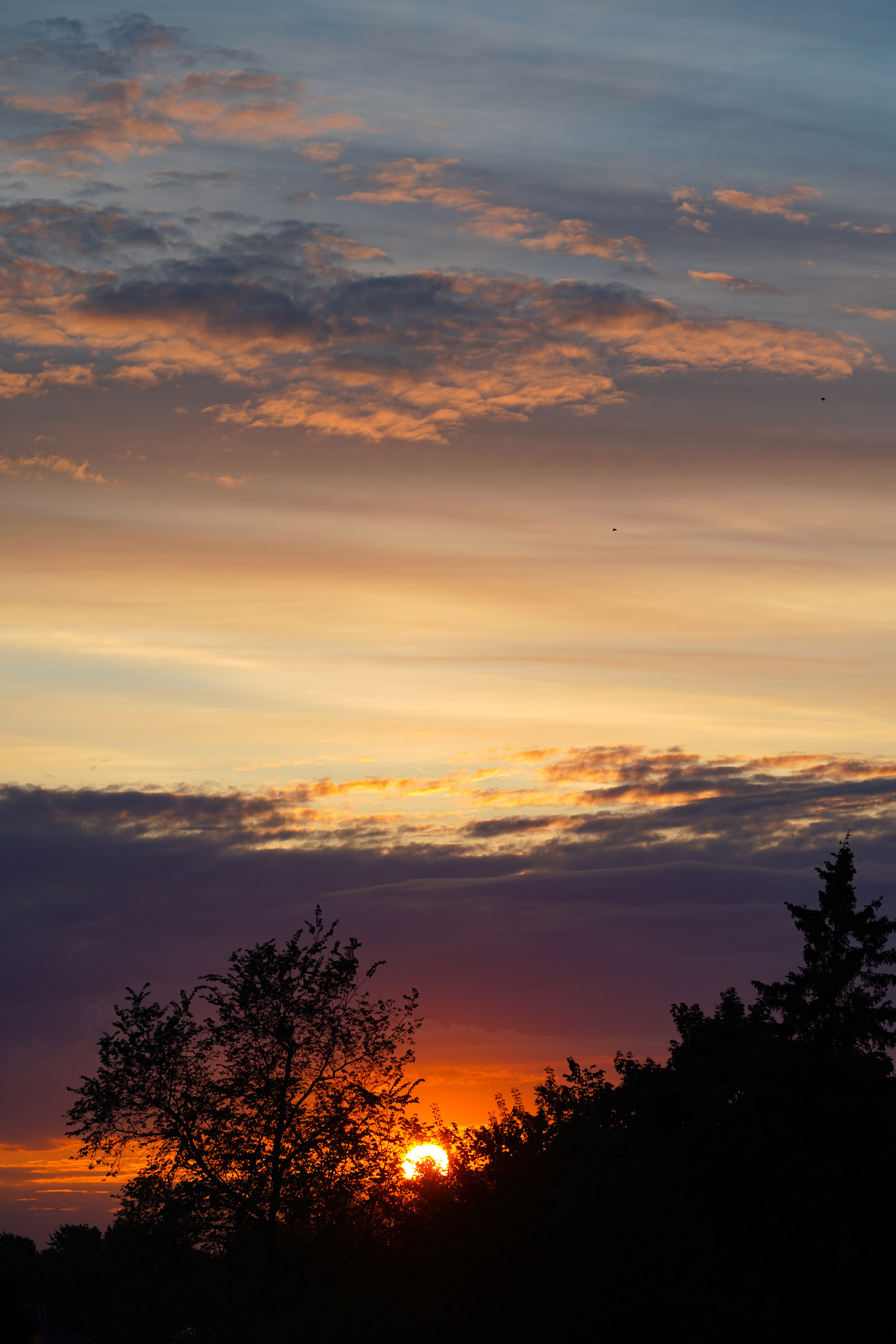 Суздаль Пейзаж. Фотограф в Москве Мария ~Zagagul~