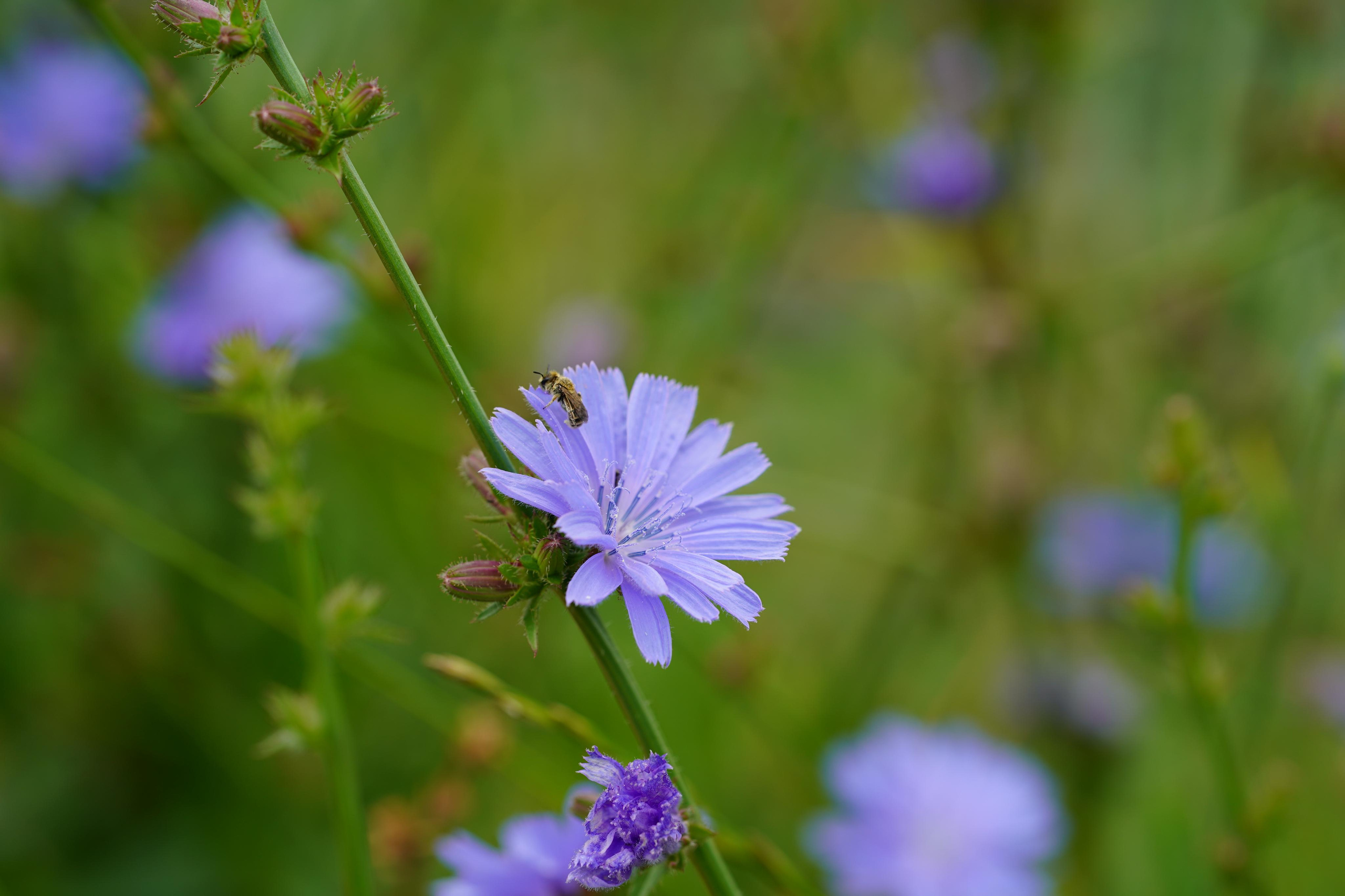 Суздаль Пейзаж. Фотограф в Москве Мария ~Zagagul~