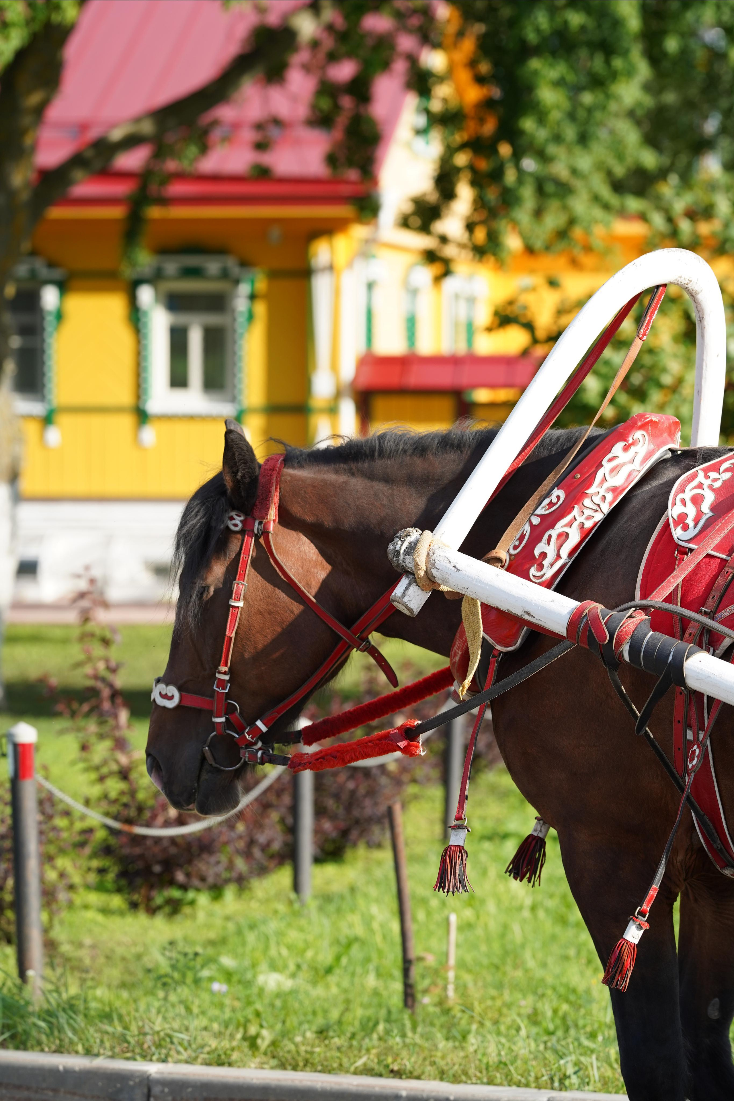 Суздаль Пейзаж. Фотограф в Москве Мария ~Zagagul~