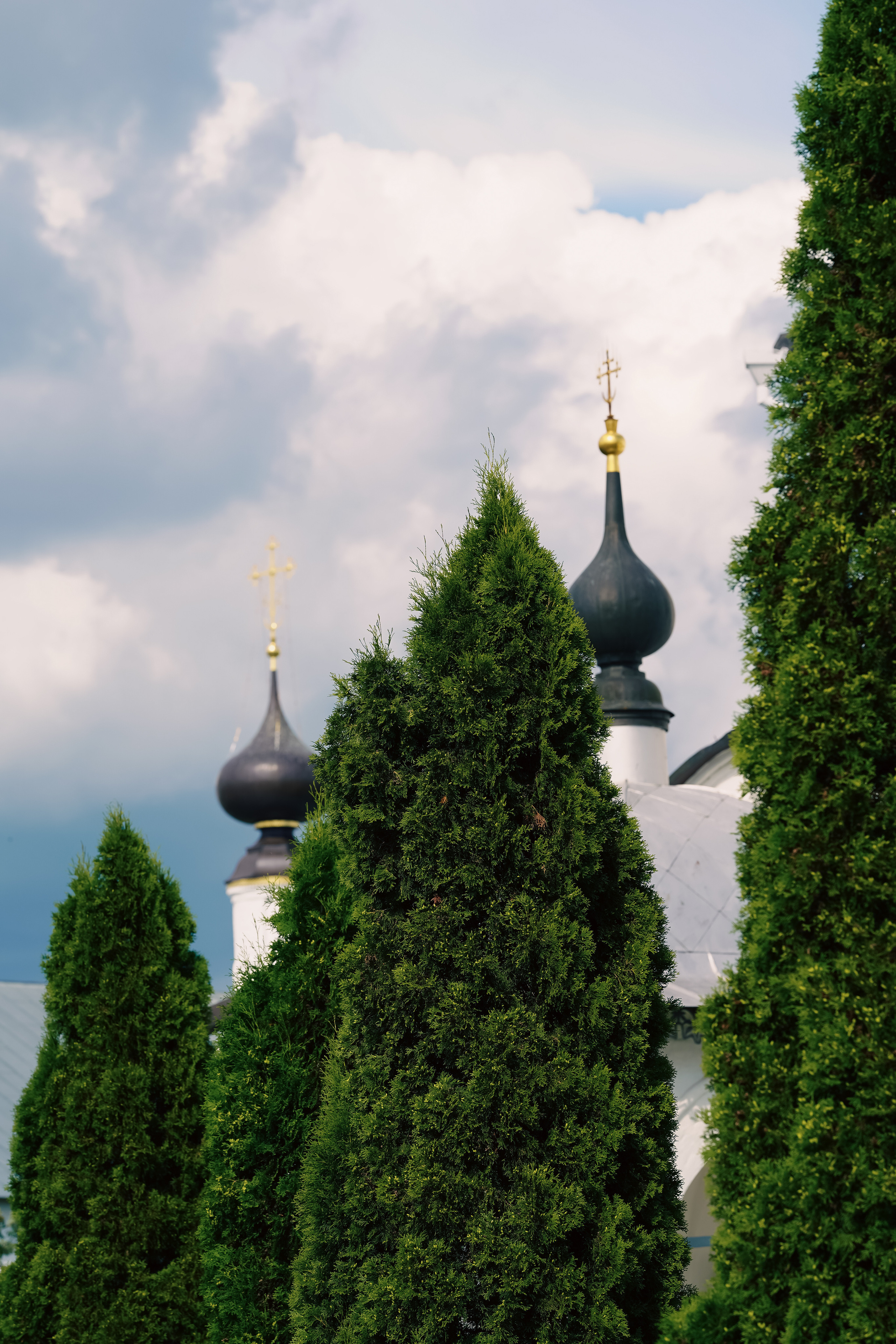 Суздаль Пейзаж. Фотограф в Москве Мария ~Zagagul~