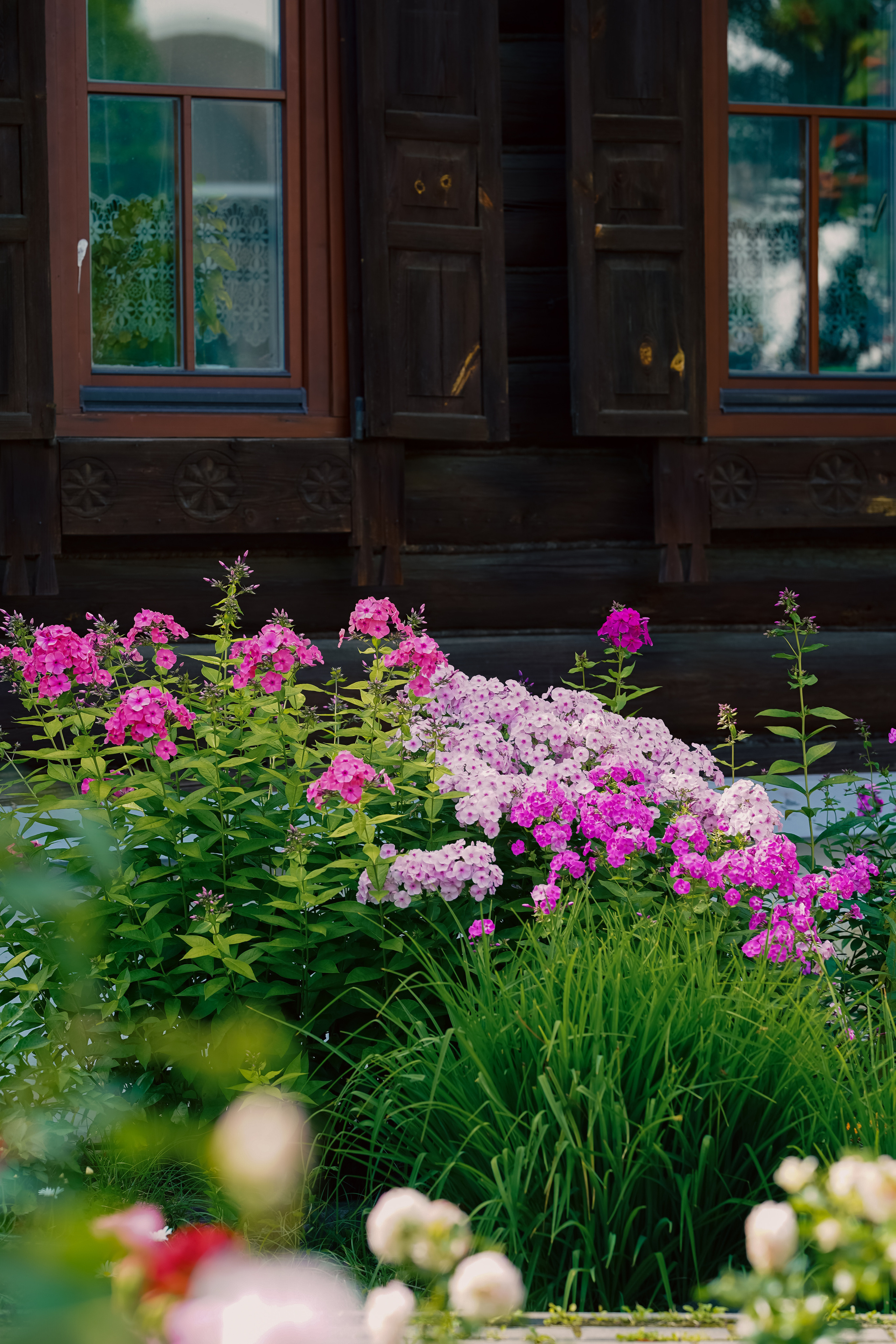 Суздаль Пейзаж. Фотограф в Москве Мария ~Zagagul~