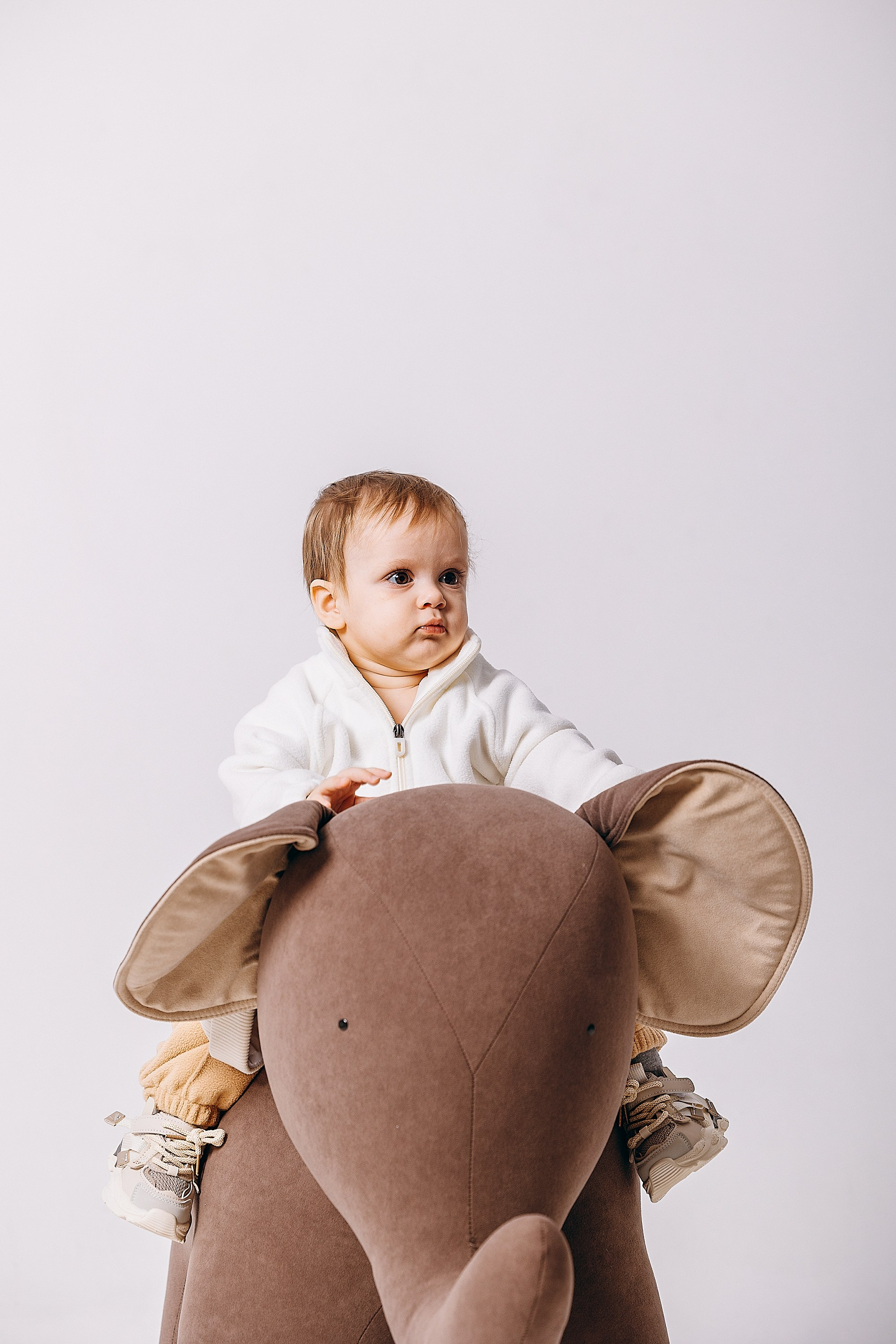 1 год Давиду. Фотограф. Фотограф-анималист. Москва