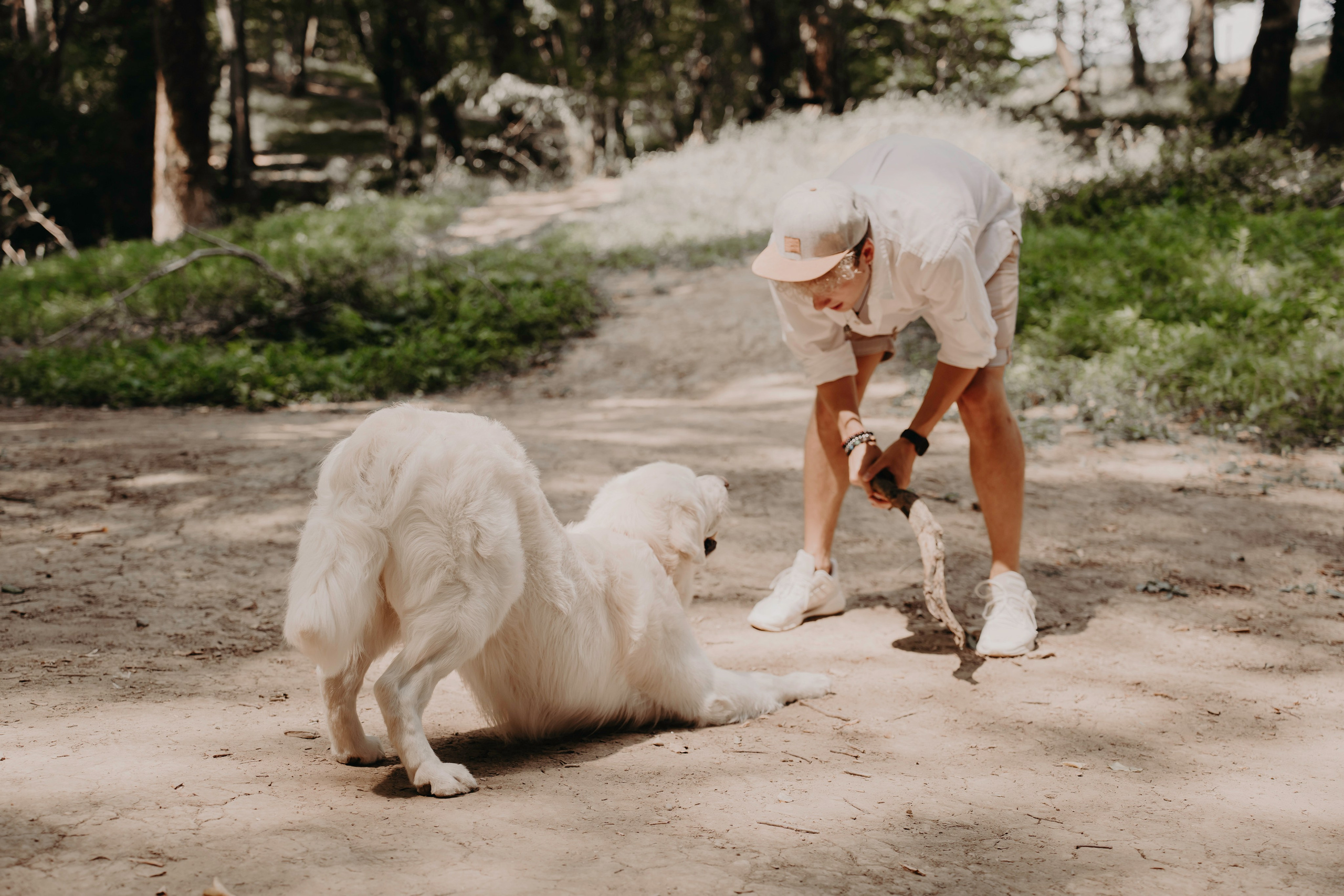 Прогулка в лесу. Фотограф Ирина Ликсунова
