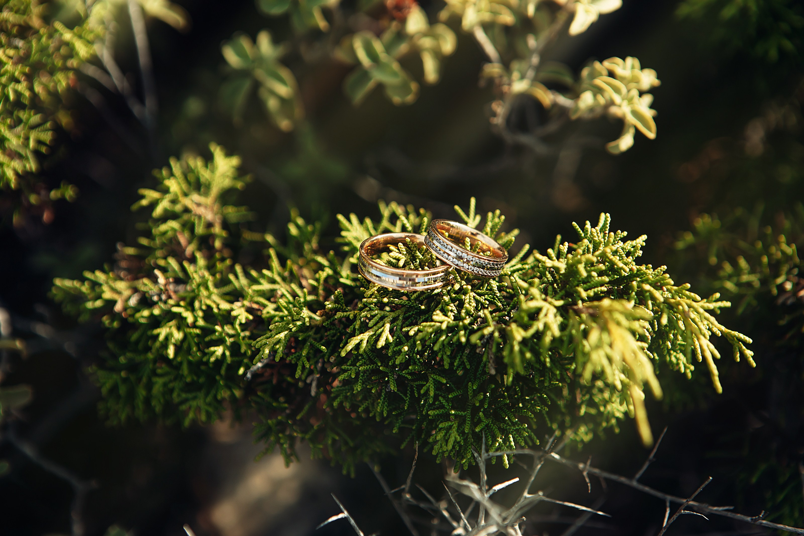 V&A. Фотограф в Батуми Павел Шарников