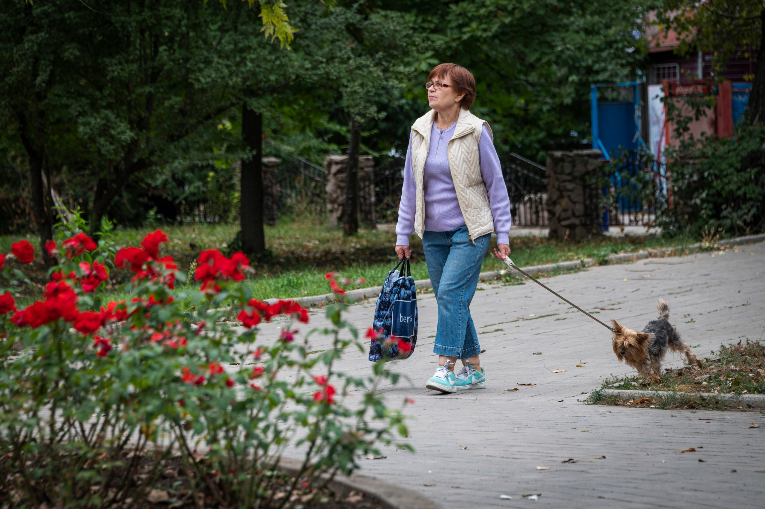 Фото для презентации фотопроекта «Территории». Фотопроект «Территории»