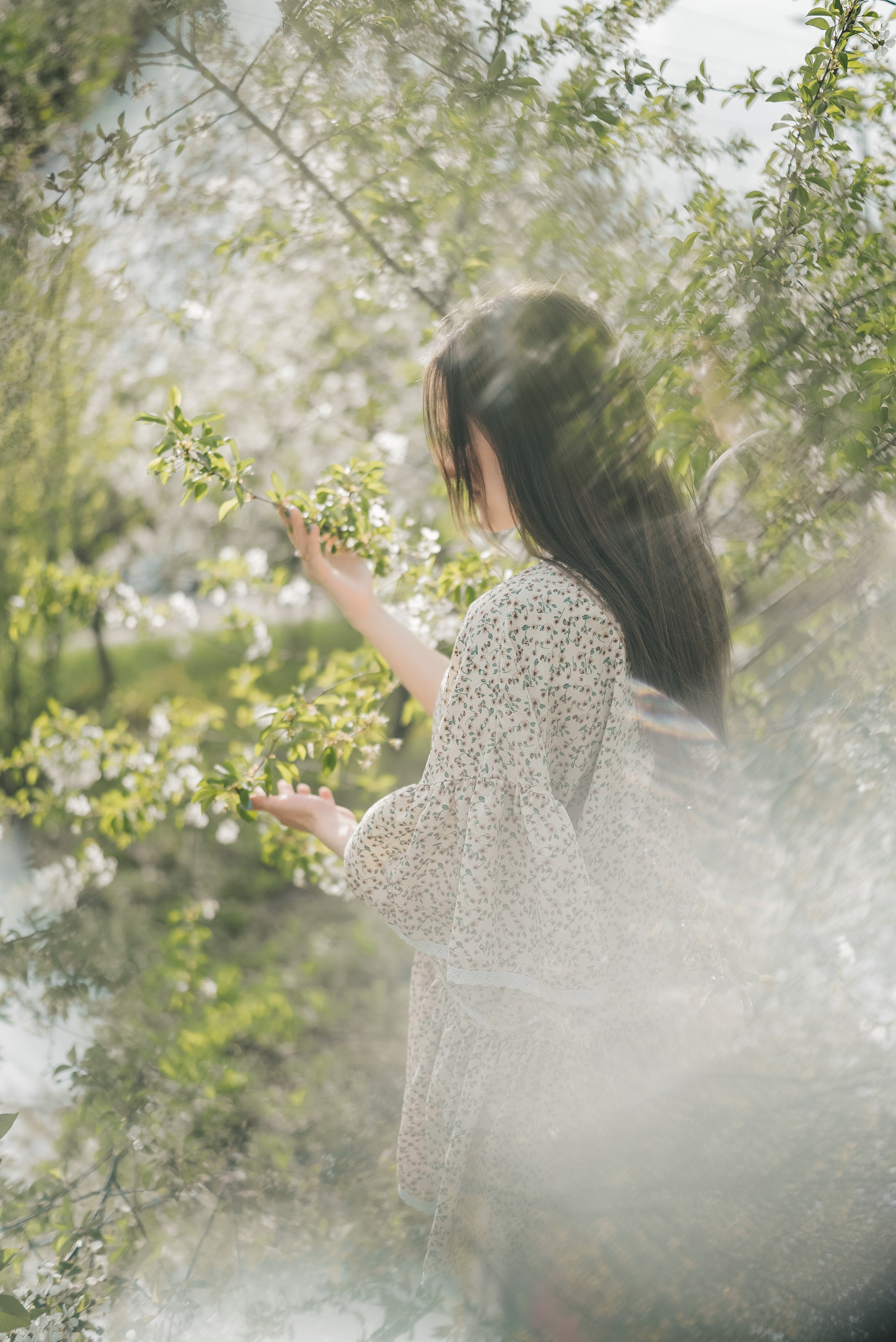 Фотосессия с цветущими деревьями. Семейный фотограф и видеограф Алёна Ким