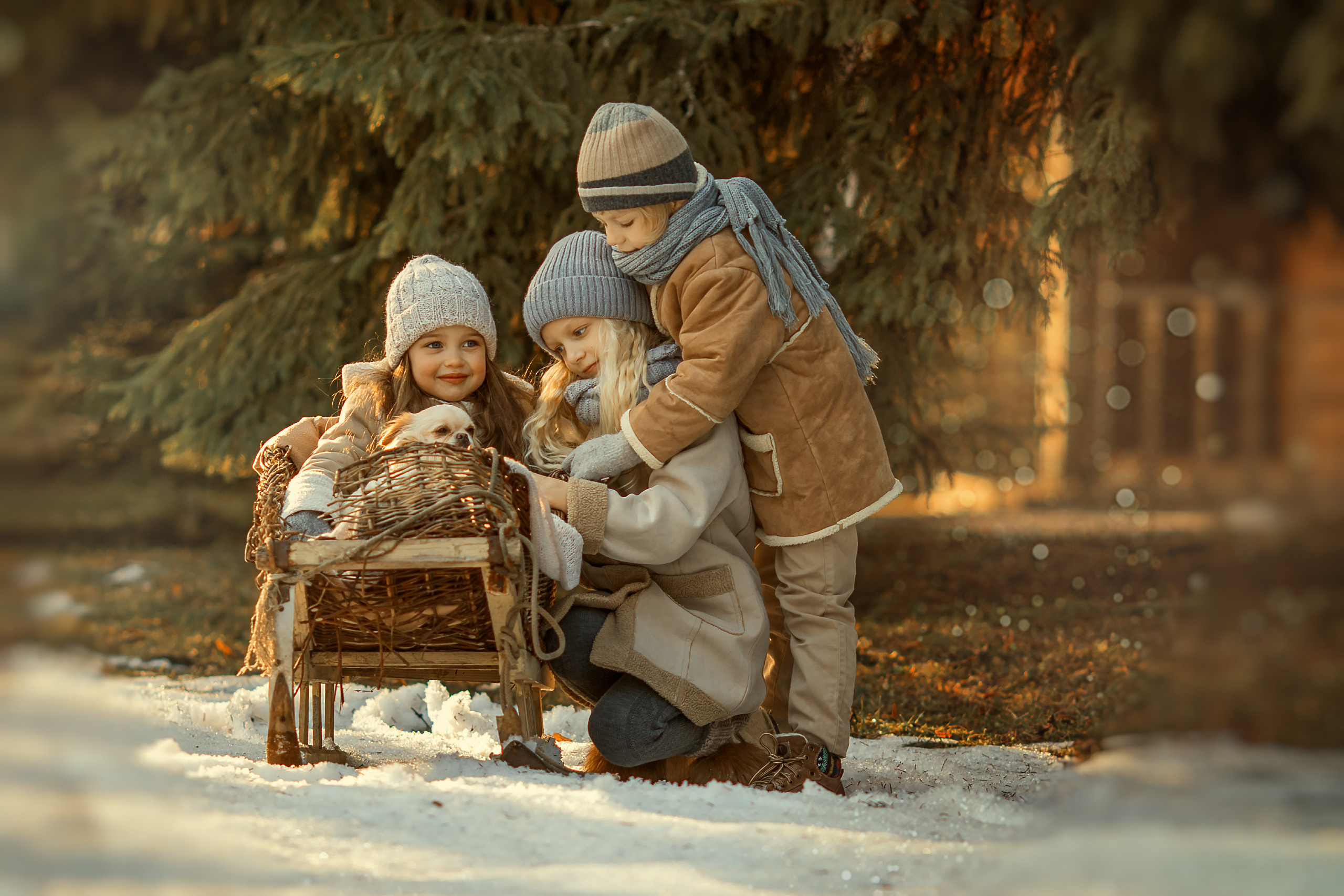 Портфолио. Детские фотосессии. Семейный и детский фотограф в Ярославле Абрамов Артём